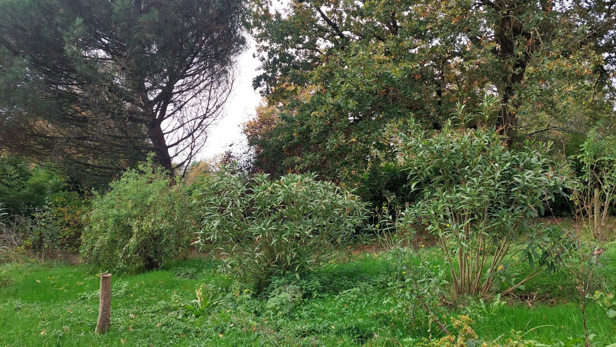 Terrain à vendre à Vergeroux, 1 700 m² – photo 1 sur 2