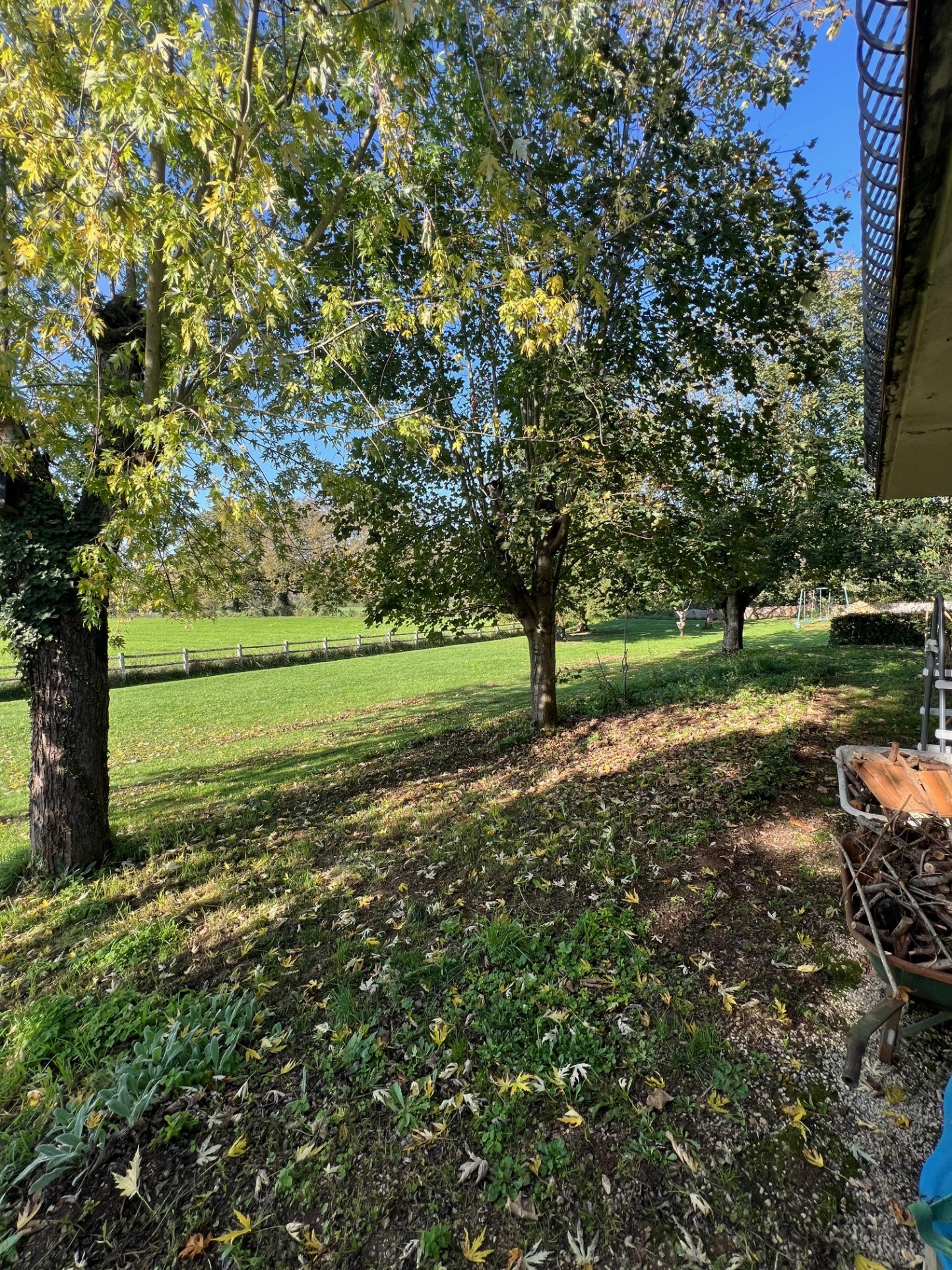 MAISON SUR SOUS SOL AVEC 3000 M2 TERRAIN CAMPAGNE — photo 18