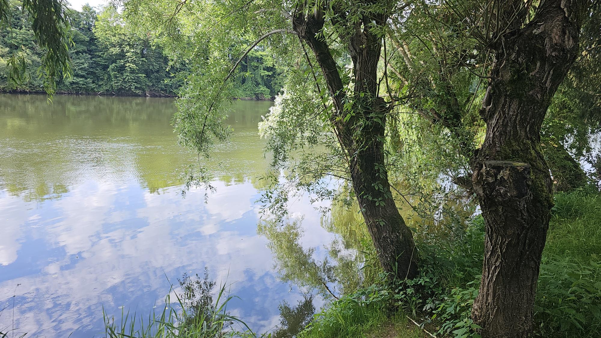 Bien immobilier à vendre à Monsempron libos, 170 m², 8 pièces – photo 3 sur 7