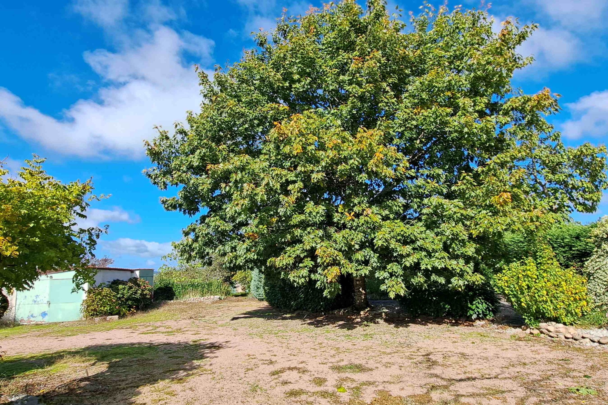 Maison à vendre à Bourbon lancy, 223 m², 11 pièces – photo 2 sur 20