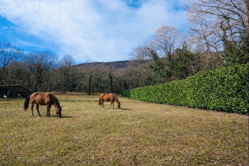 Villa à vendre à Le bourget du lac, 297 m², 8 pièces – photo 2 sur 11