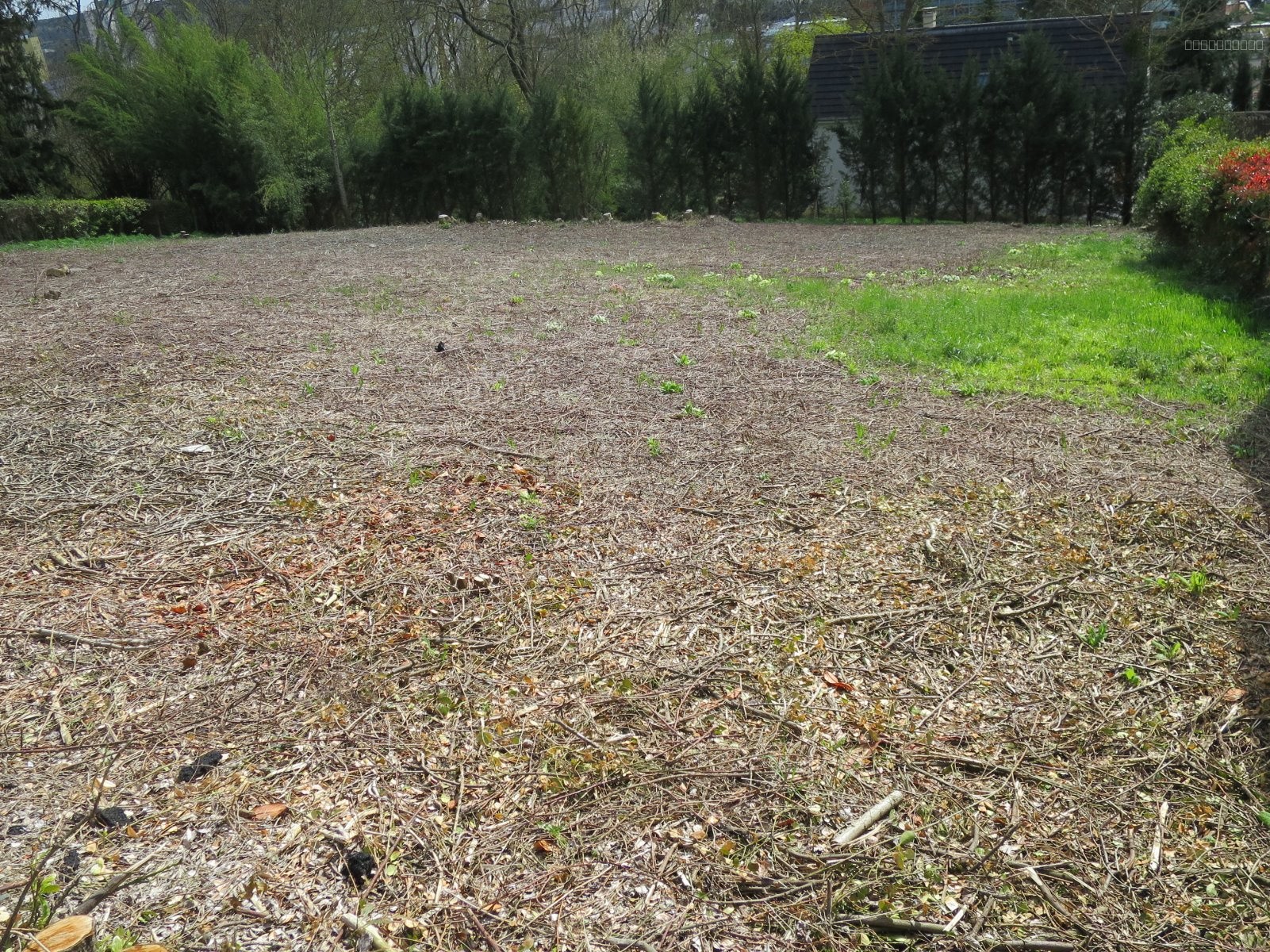 Terrain à vendre à Le mans, 700 m² – photo 3 sur 4