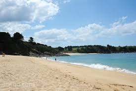 Terrain à vendre à Hirel : rivage sablonneux bordé par une végétation dense