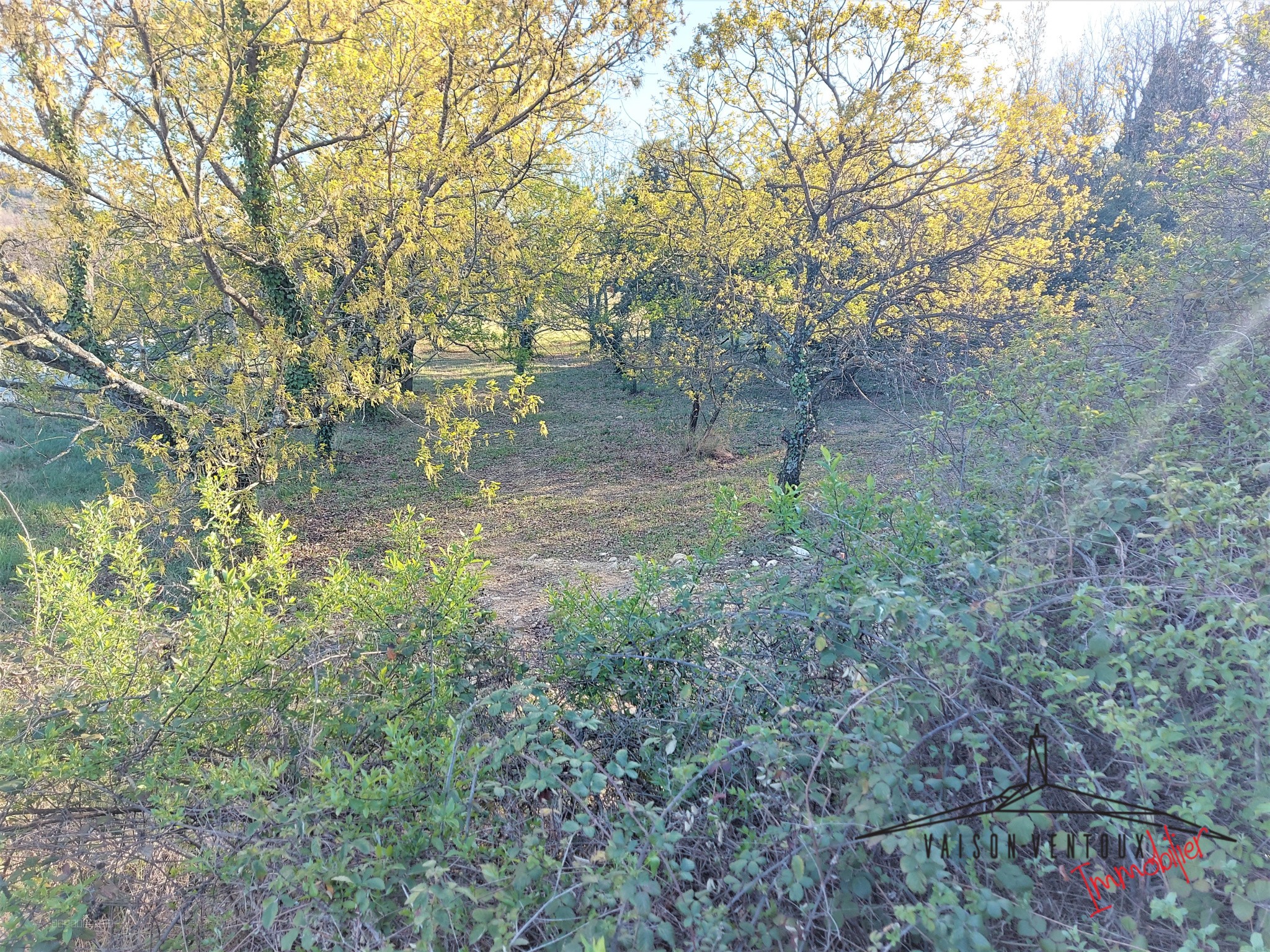 Bien immobilier à vendre à Vaison la romaine, 1 335 m² – photo 2 sur 4