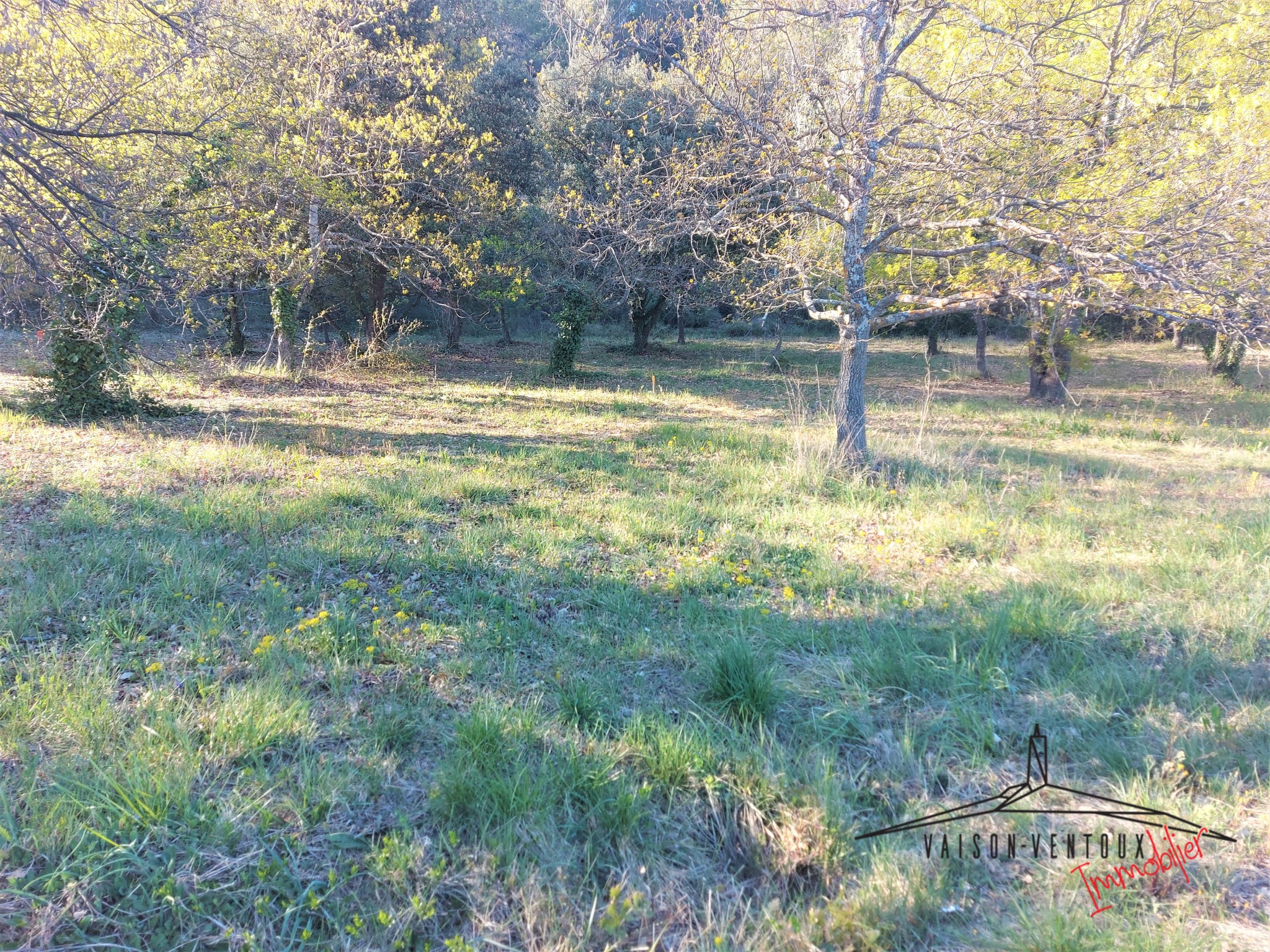 Bien immobilier à vendre à Vaison la romaine, 1 335 m² – photo 1 sur 4