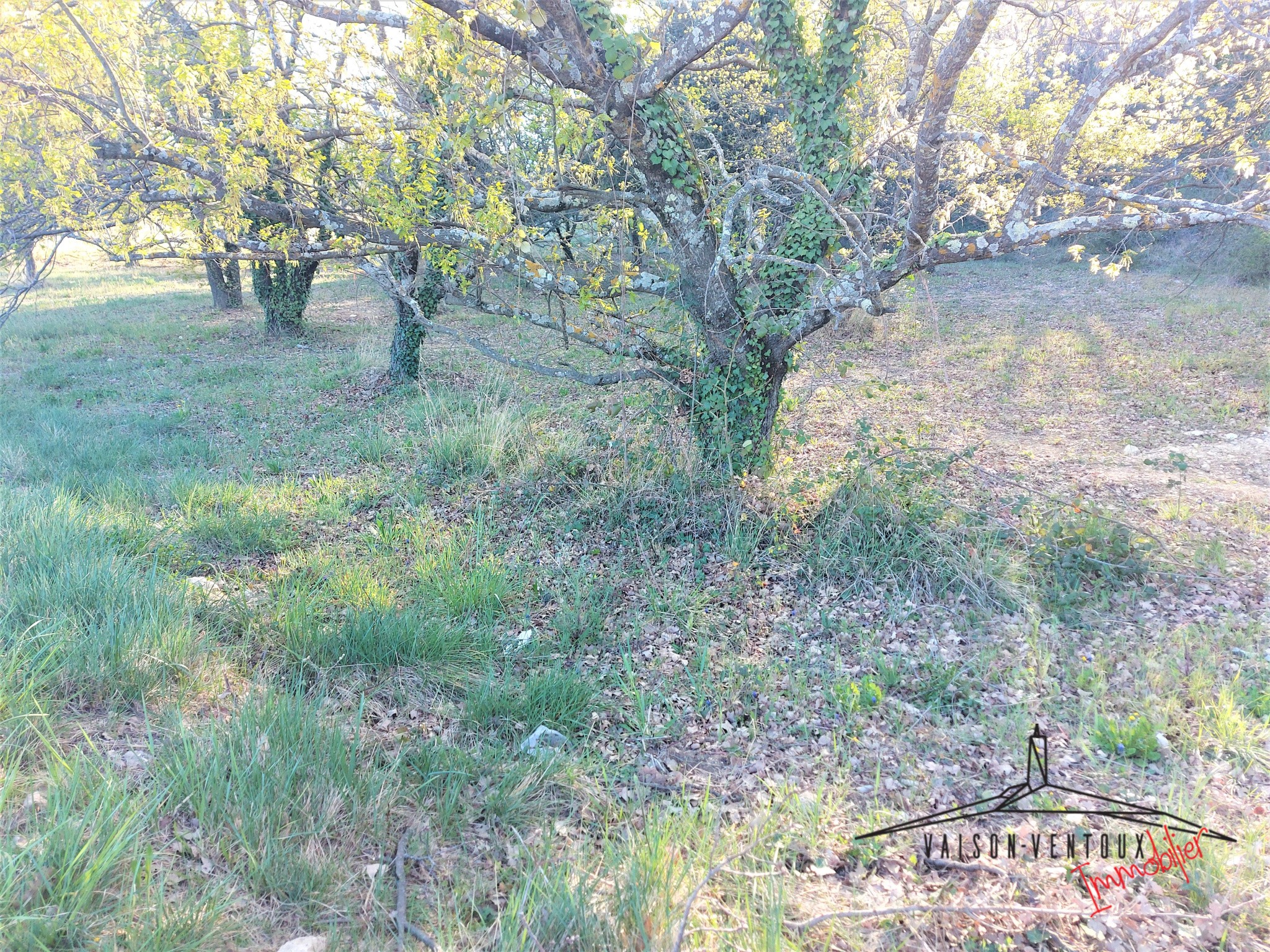 Bien immobilier à vendre à Vaison la romaine, 1 335 m² – photo 3 sur 4