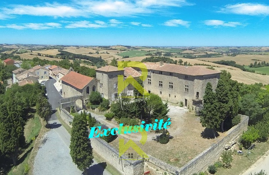 Bien immobilier à vendre à Mezerville, 786 m², 10 pièces – photo 1 sur 19