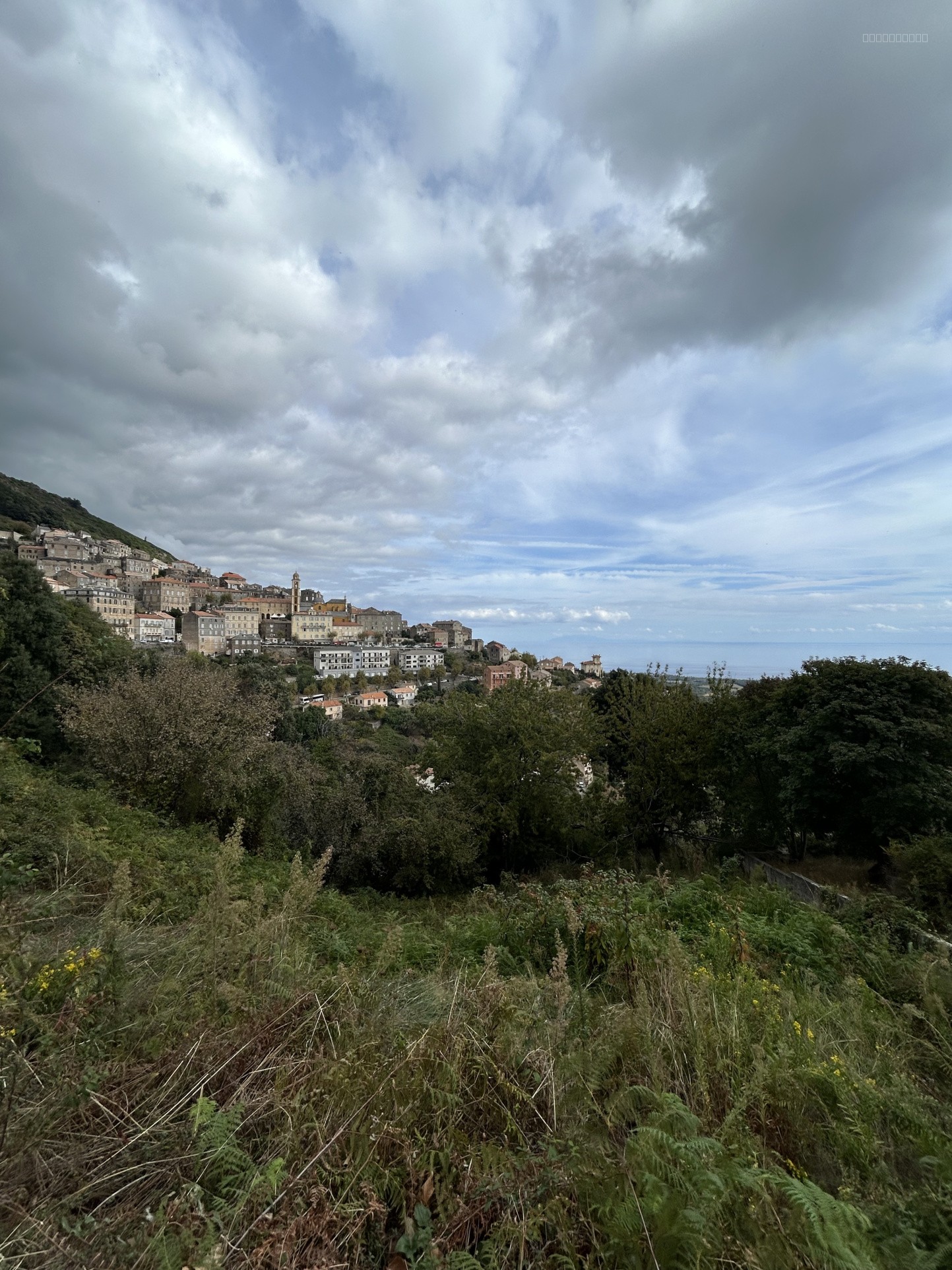 Bien immobilier à vendre à Cervione, 1 638 m² – photo 1 sur 4