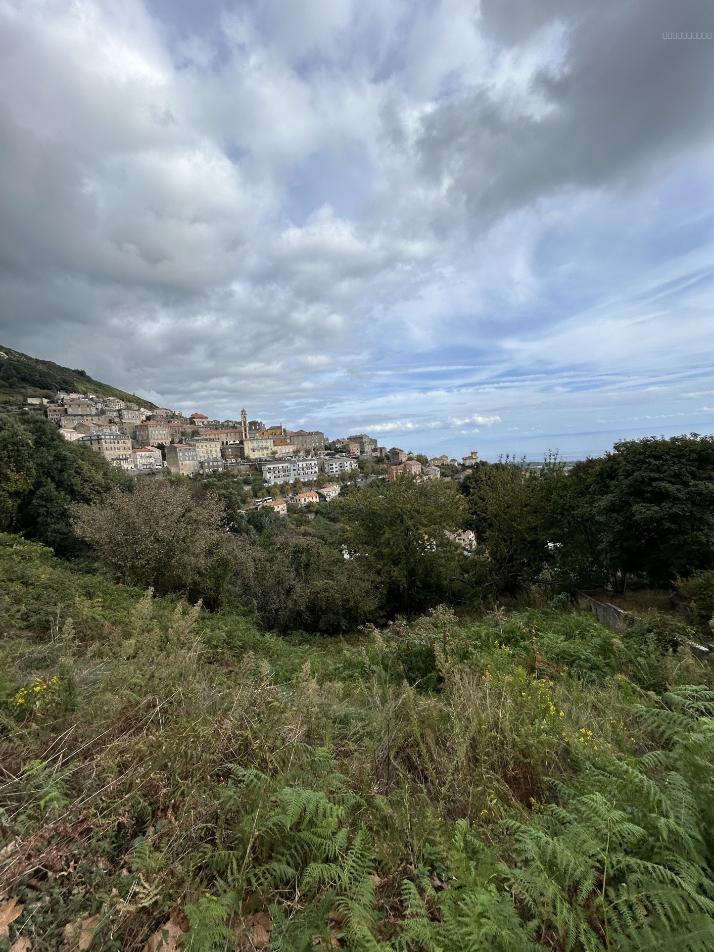 Bien immobilier à vendre à Cervione, 1 638 m² – photo 3 sur 4