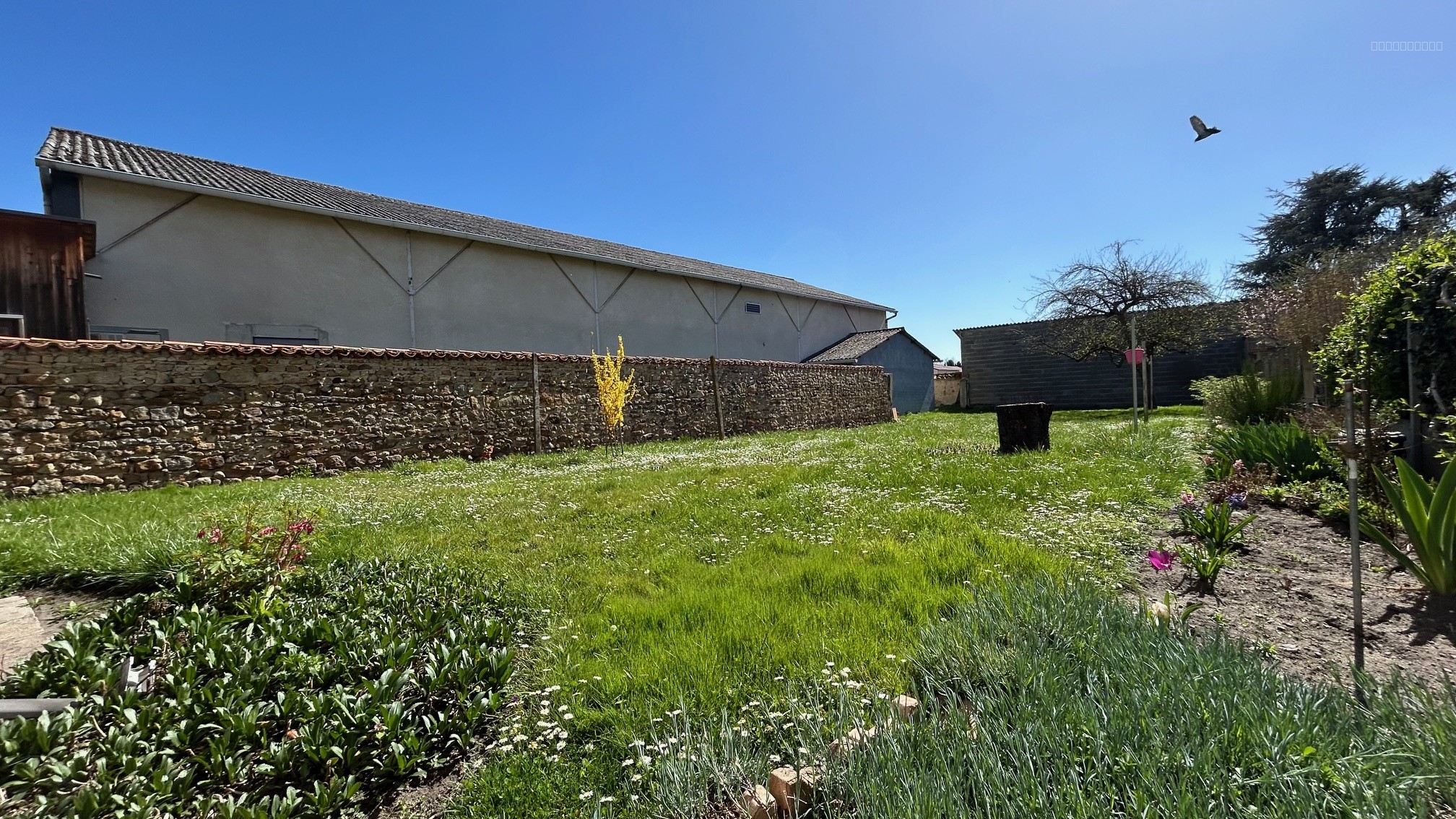 Maison à vendre à Lezoux, 115 m², 4 pièces – photo 3 sur 16