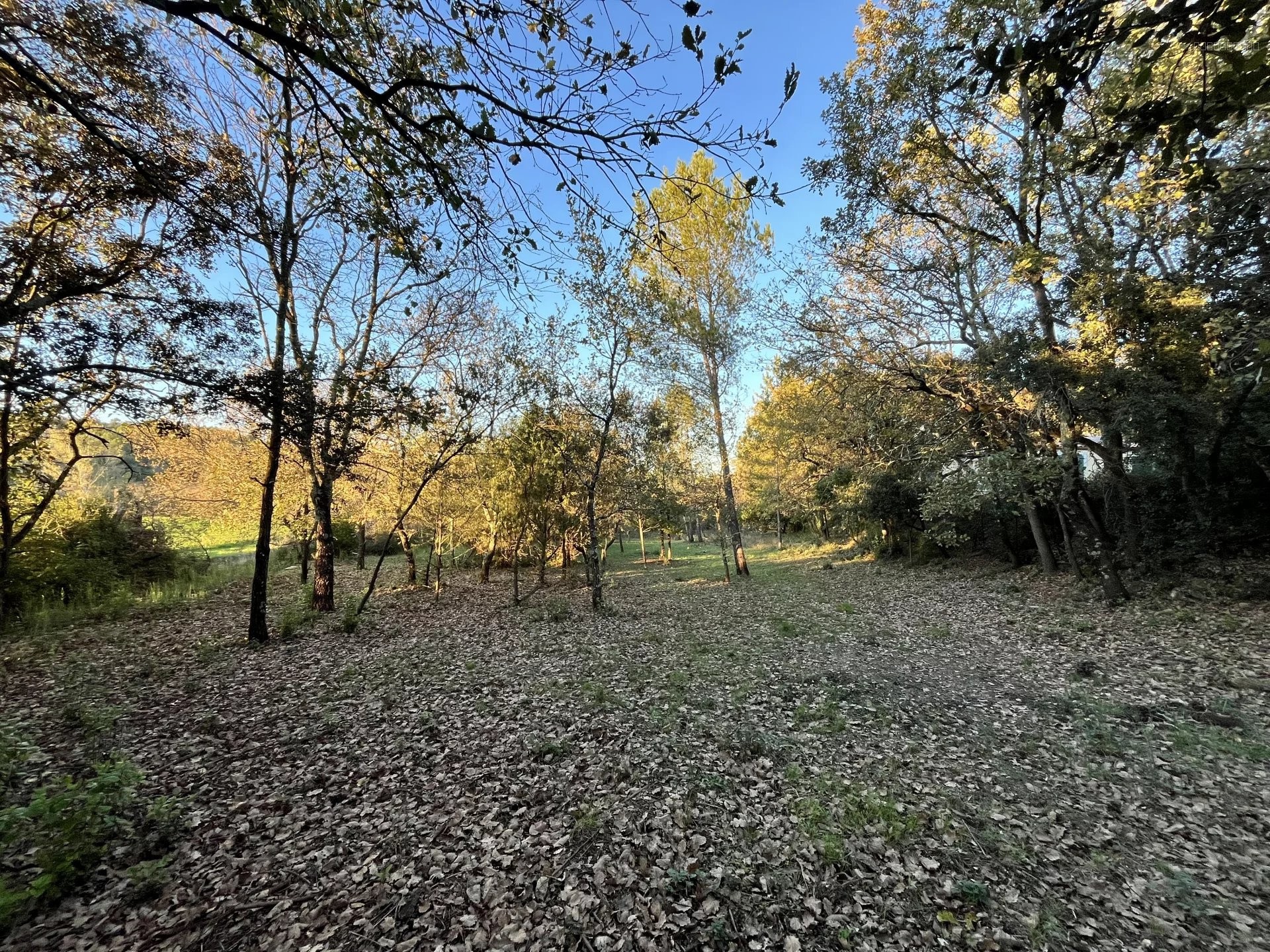 Terrain à vendre à Montignargues, 2 179 m² – photo 3 sur 4