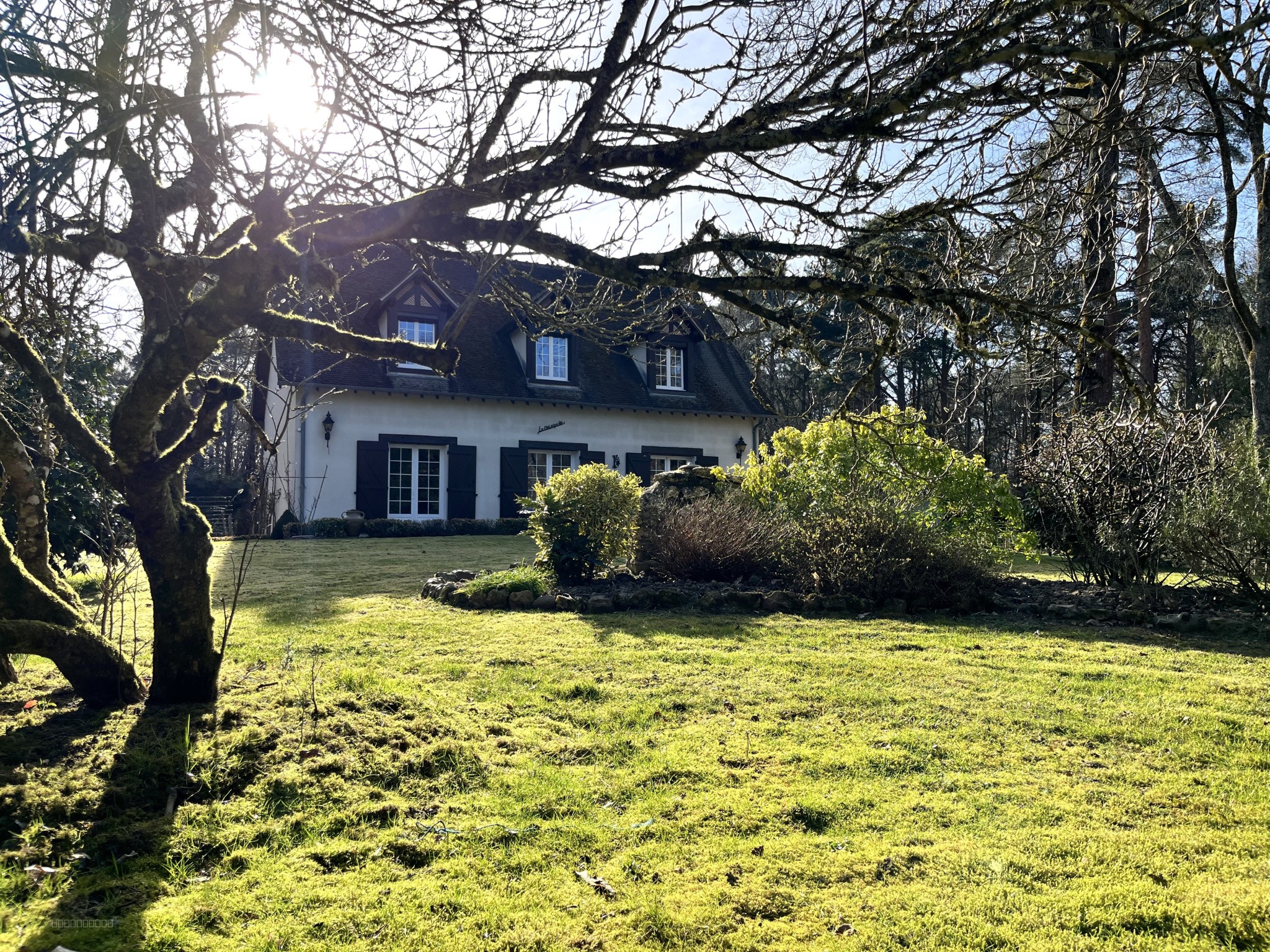Maison dans les bois..... — photo 4