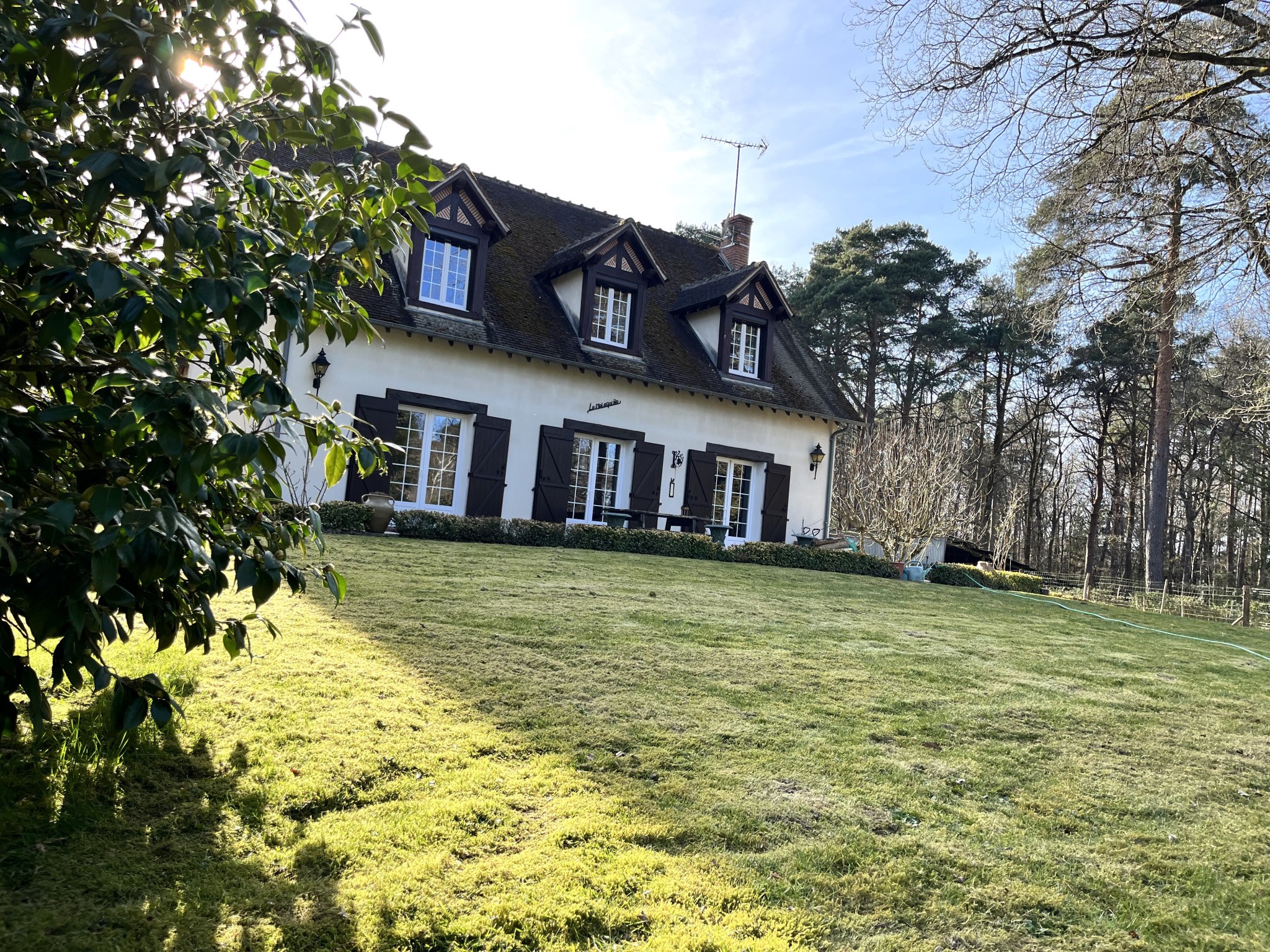Maison dans les bois..... — photo 7