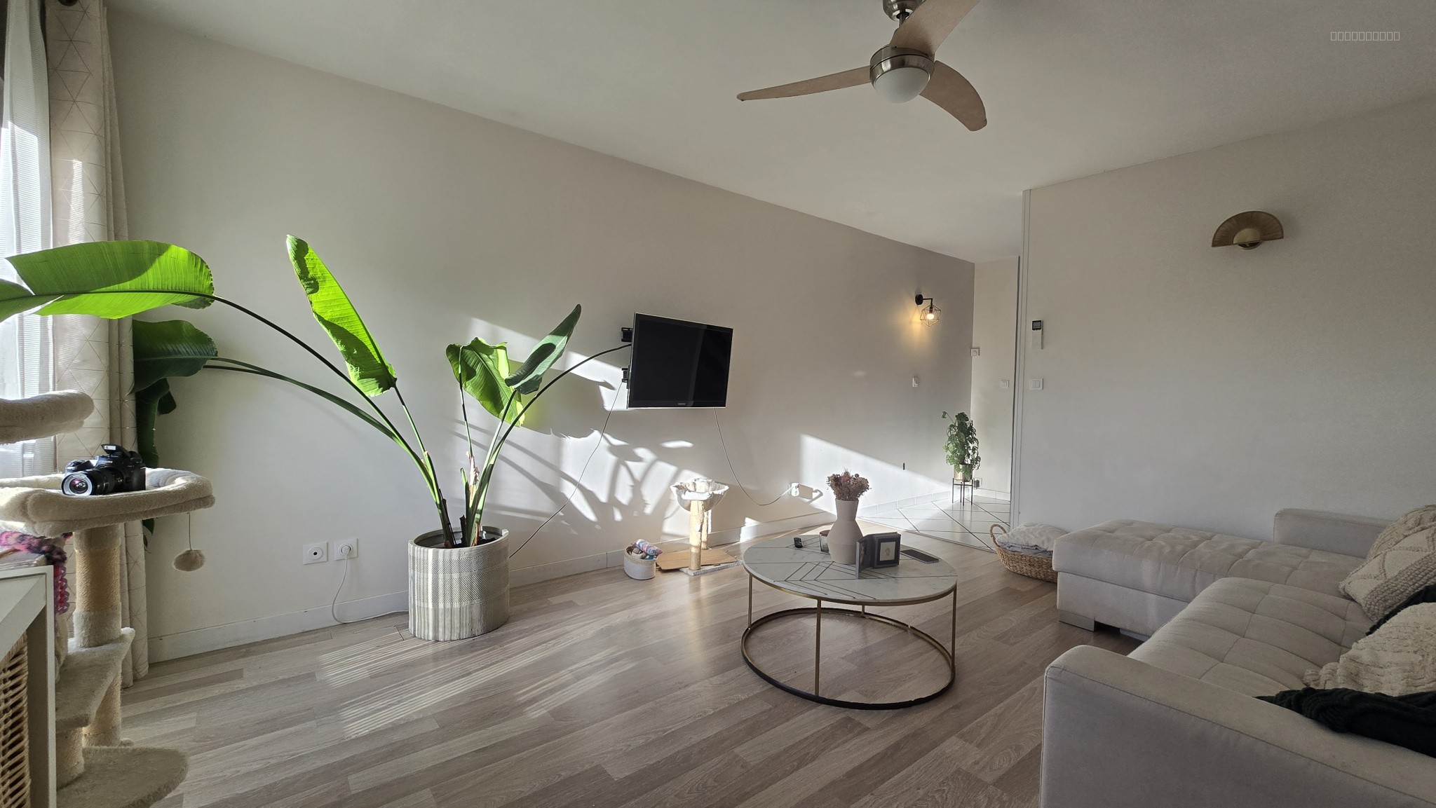 Maison à vendre à Lattes, 23 m², 4 pièces – photo 3 sur 15