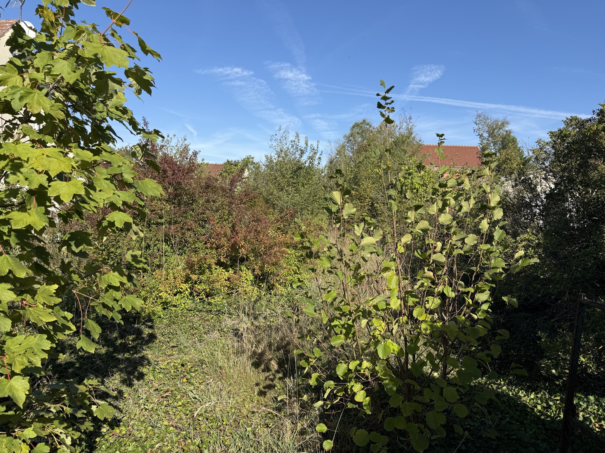 Bien immobilier à vendre à Epiais rhus, 726 m² – photo 2 sur 4