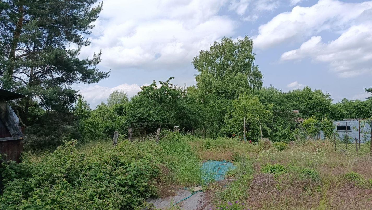 Maison à vendre à Albestroff, 100 m², 3 pièces – photo 1 sur 10