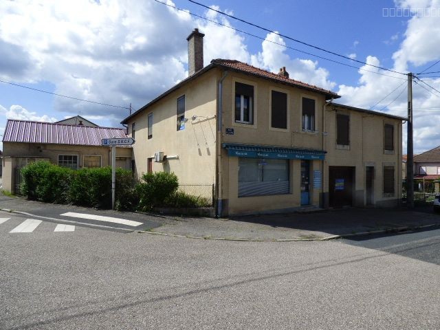 Immeuble à vendre à Avricourt, 316 m², 10 pièces – photo 1 sur 10