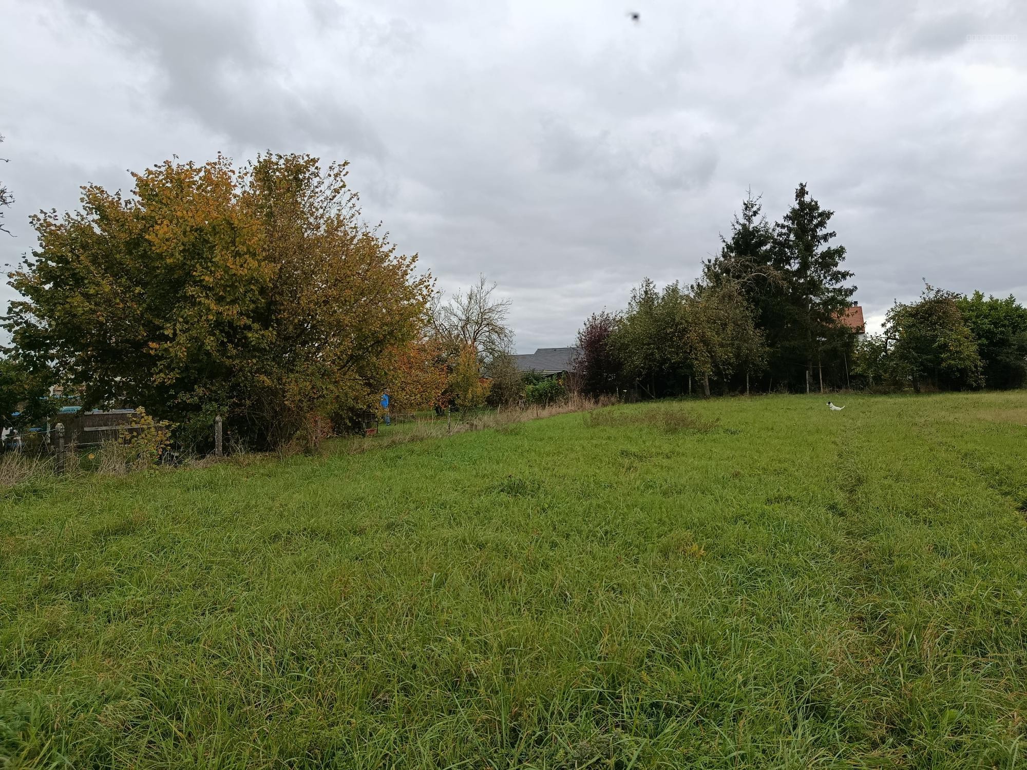 Maison indépendante 103m2 avec jardin — photo 1
