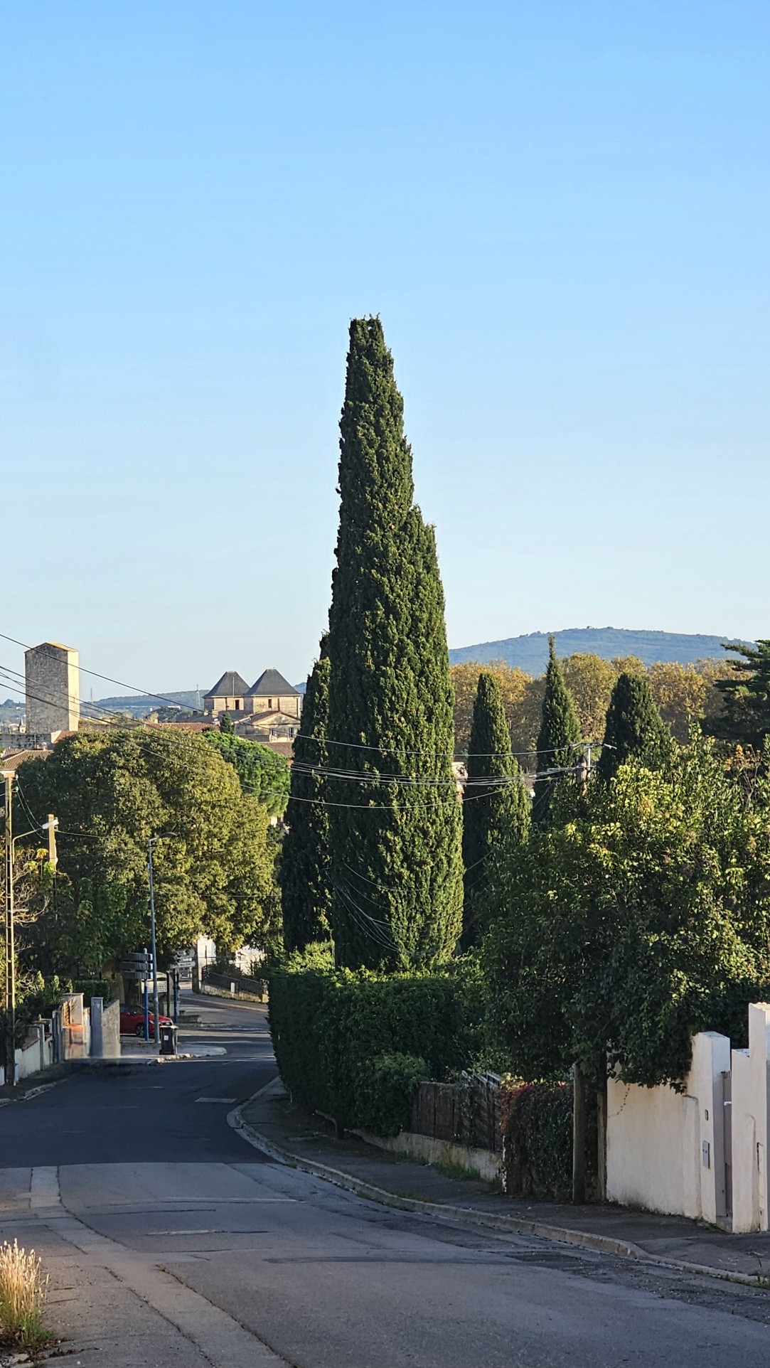 Bien immobilier à vendre à Pignan, 1 352 m² – photo 3 sur 9