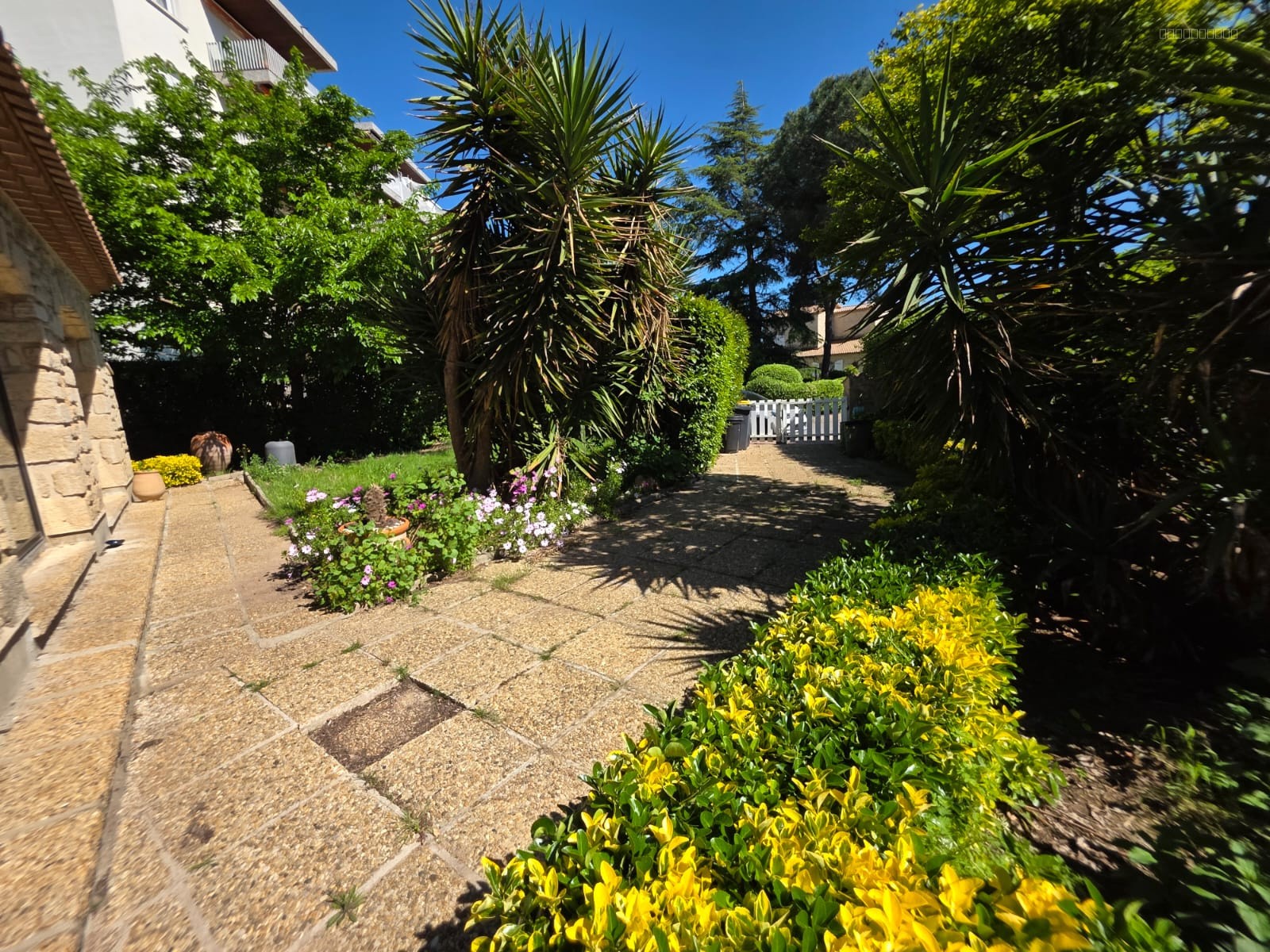 Maison calme Castelnau-le-Lez — photo 13