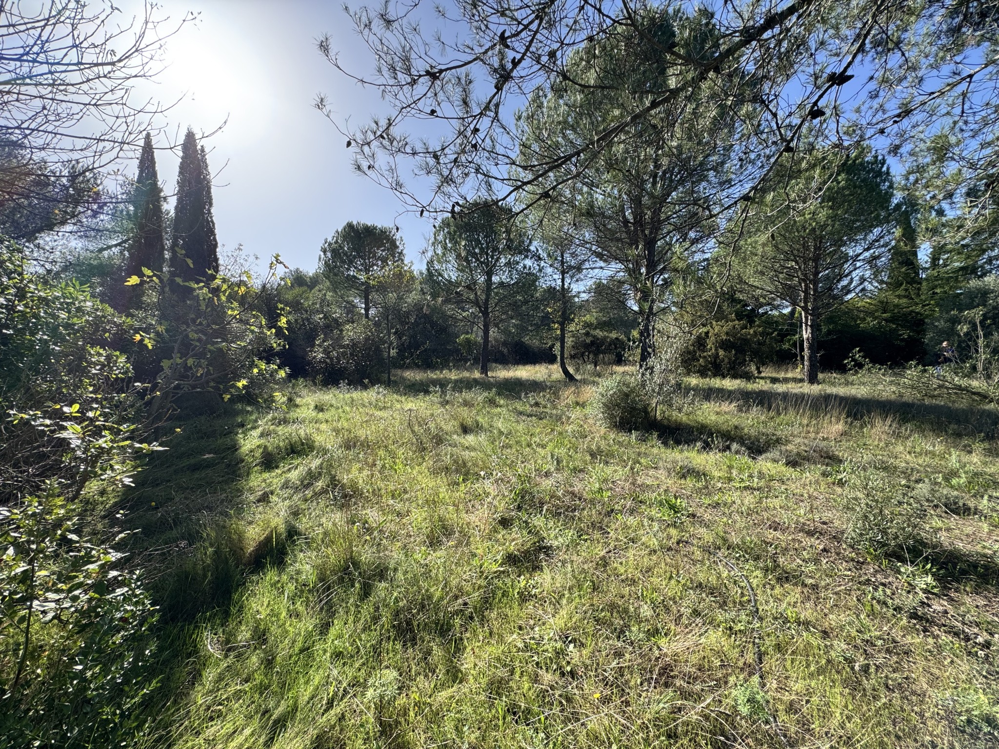 Terrain à vendre à Montferrier sur lez, 1 800 m² – photo 3 sur 6