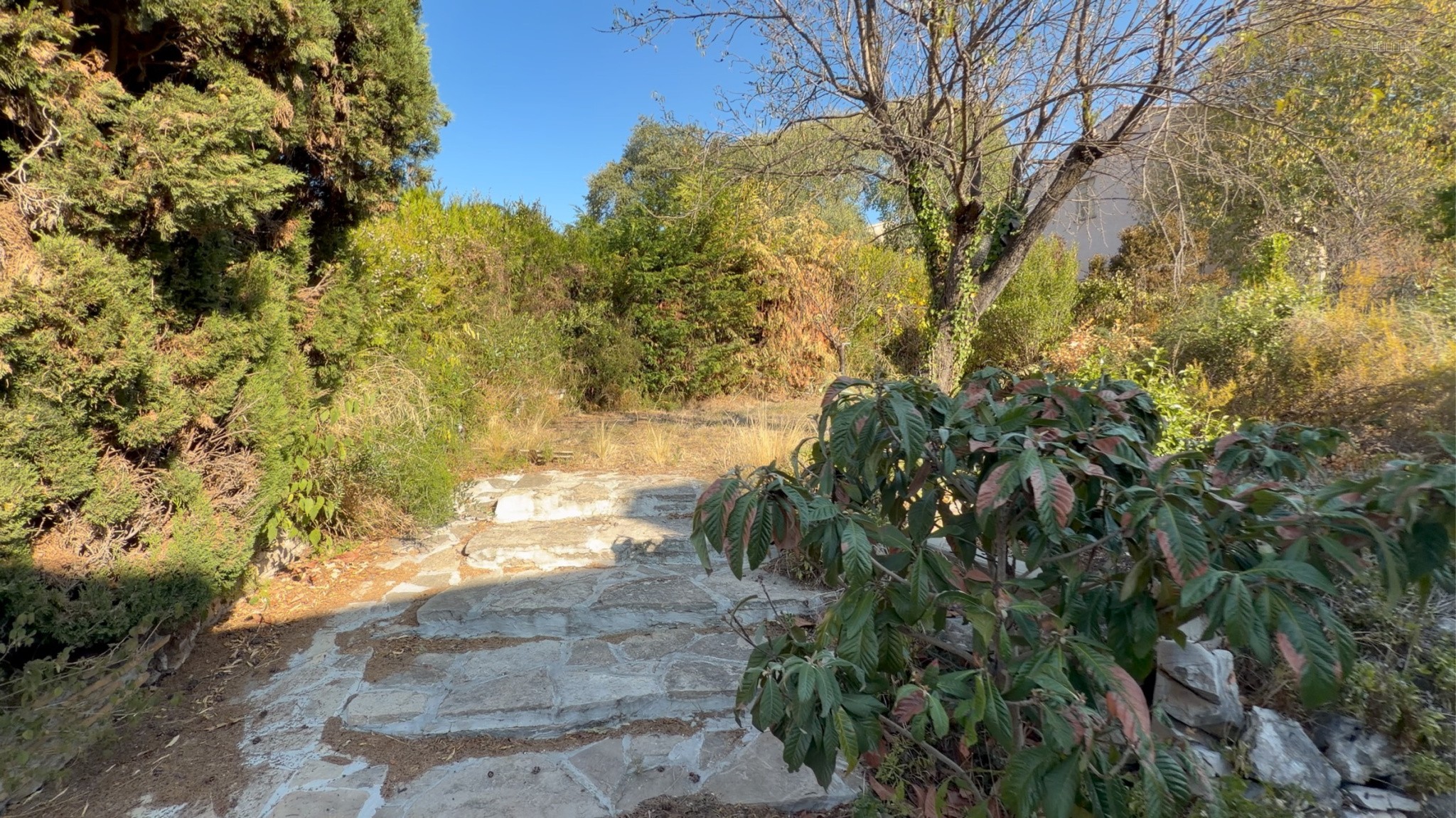 Terrain à vendre à Le cres, 196 m² – photo 3 sur 9