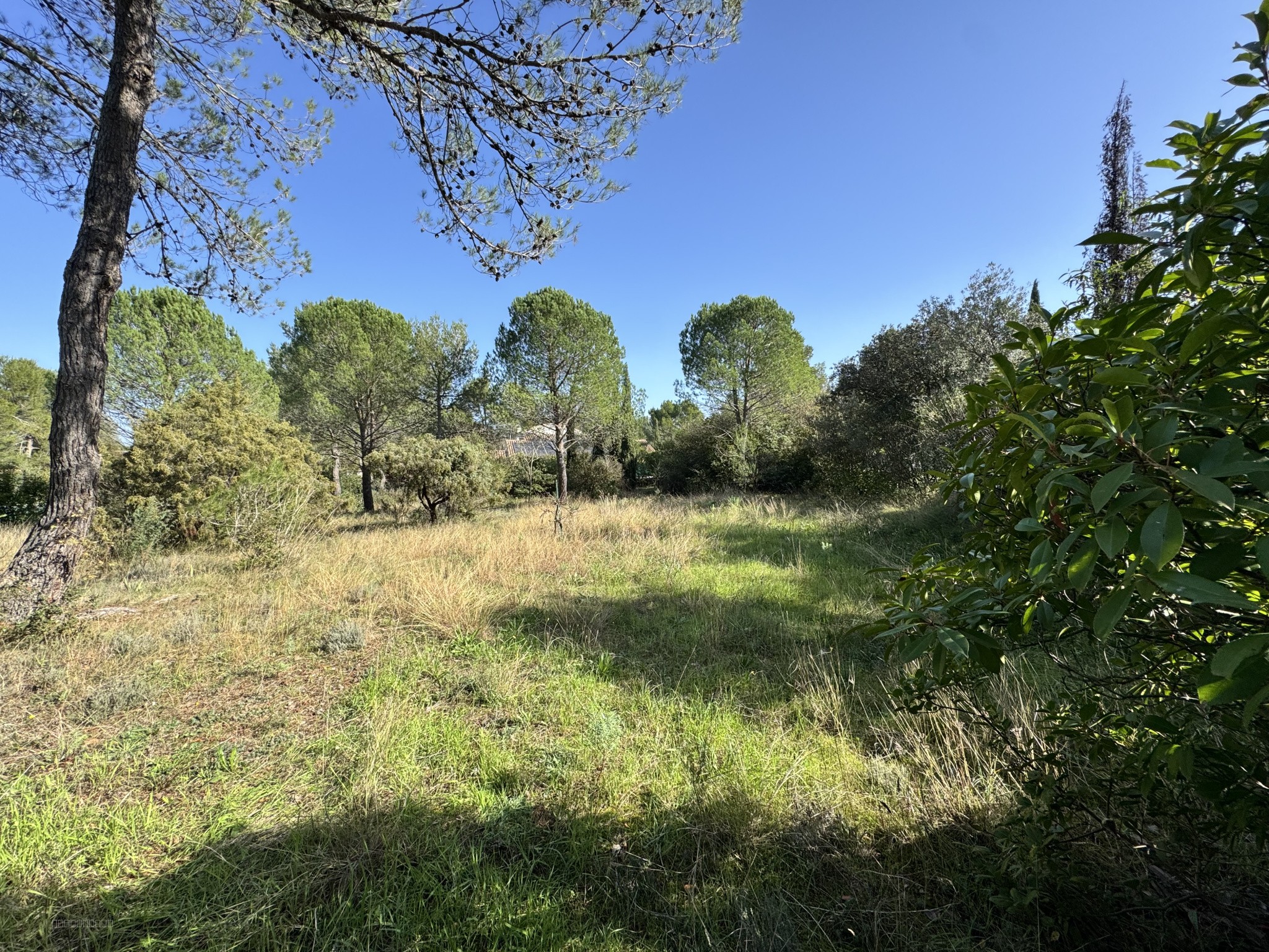Terrain à vendre à Montferrier sur lez, 1 800 m² – photo 2 sur 6