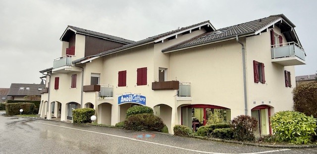 FERNEY VOLTAIRE, T4 132m2 HAB. + 122m2 TERRASSE + GARAGE + CAVE + PK — photo 1
