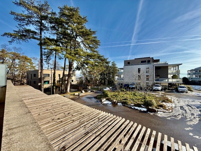 EXCLUSIVITE, T2 GEX avec TERRASSE ET GARAGE — photo 6