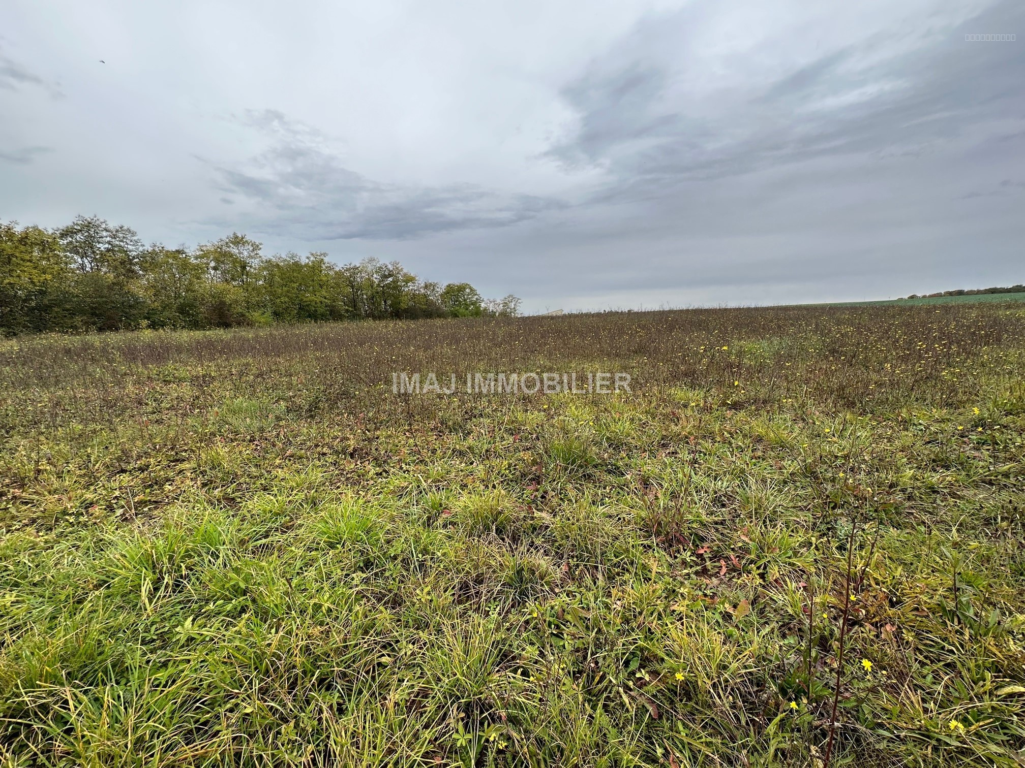 Bien immobilier à vendre à Hennecourt, 23 625 m² – photo 1 sur 1