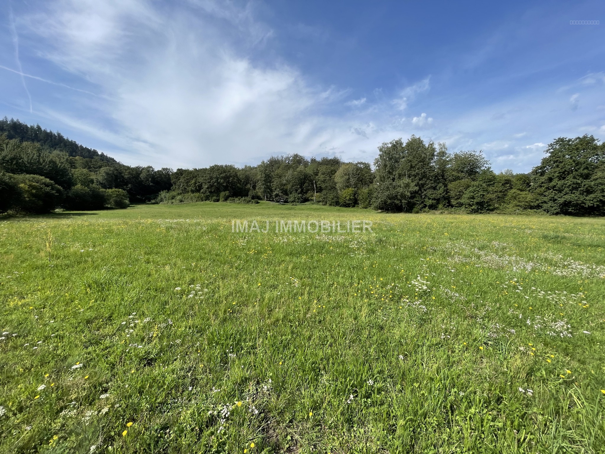 Terrain à vendre à St nabord, 6 146 m² – photo 1 sur 1