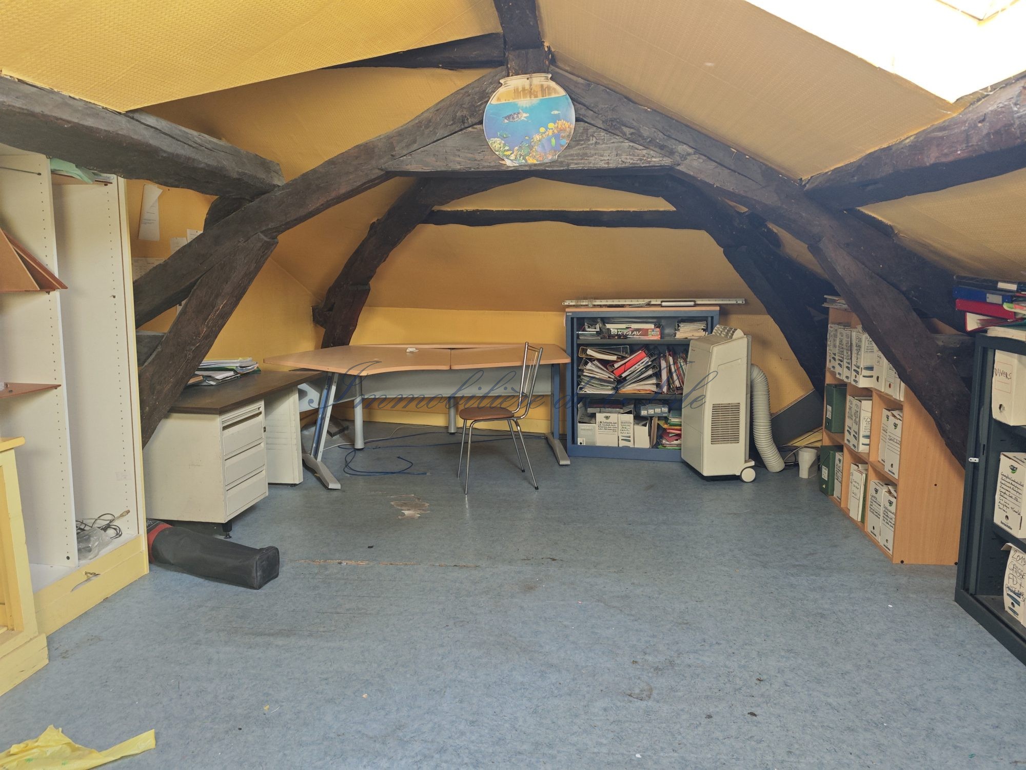 ENSEMBLE IMMOBILIER DE 285 M2 AVEC JARDIN - — photo 9