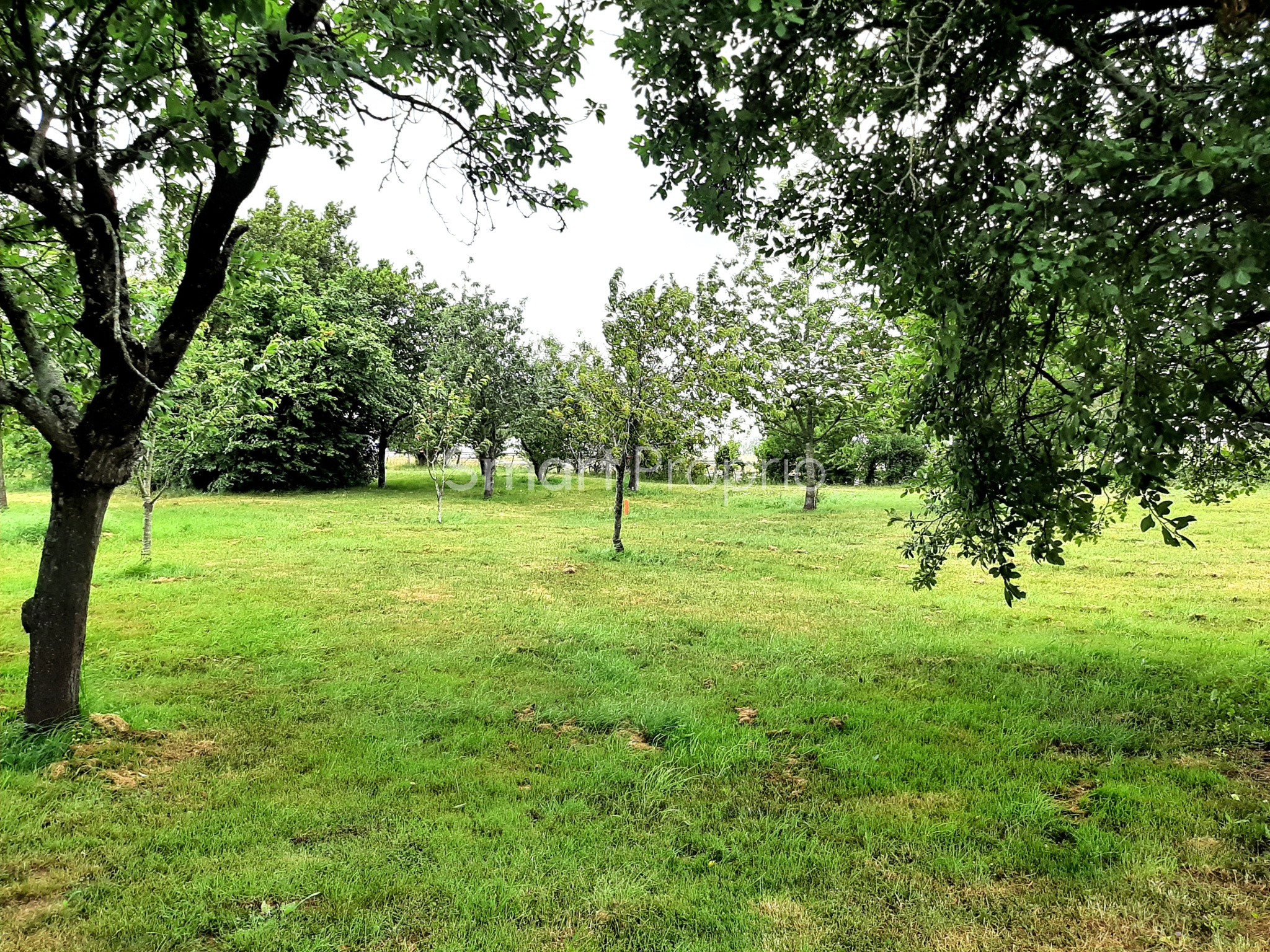Ensemble immobilier maison avec locataires en place, 390 m2 de batiments proche Fontenay le Comte — photo 3