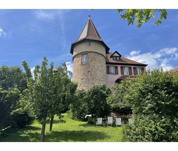 Bien immobilier à vendre à Zellenberg, 638 m², 20 pièces – photo 1 sur 9