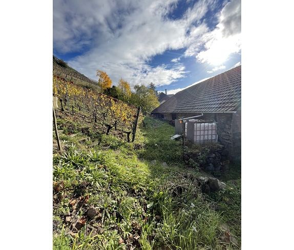 Maison à vendre à Thann, 207 m², 4 pièces – photo 3 sur 4