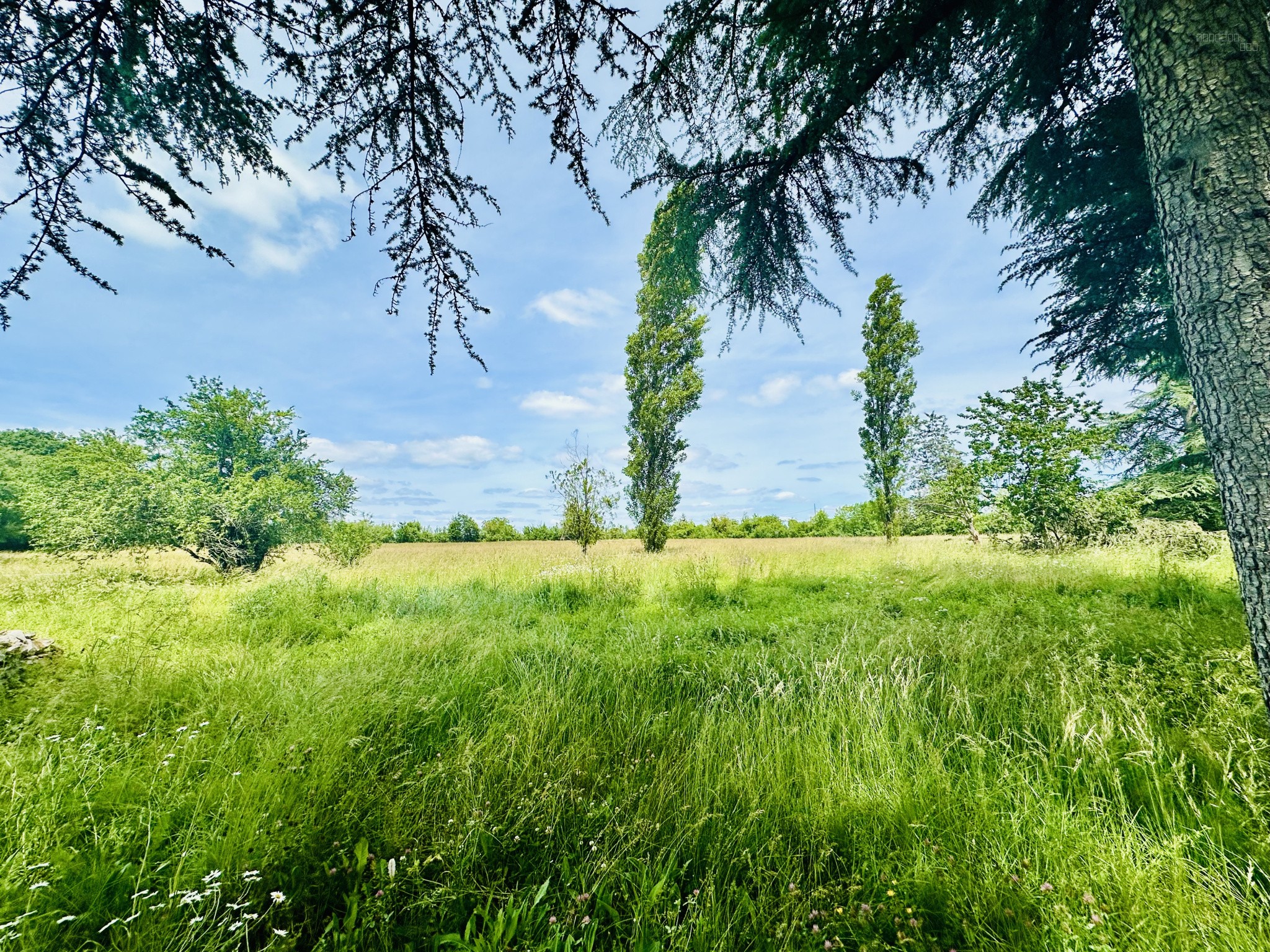 Propriété en pierre à Vaylats — photo 3