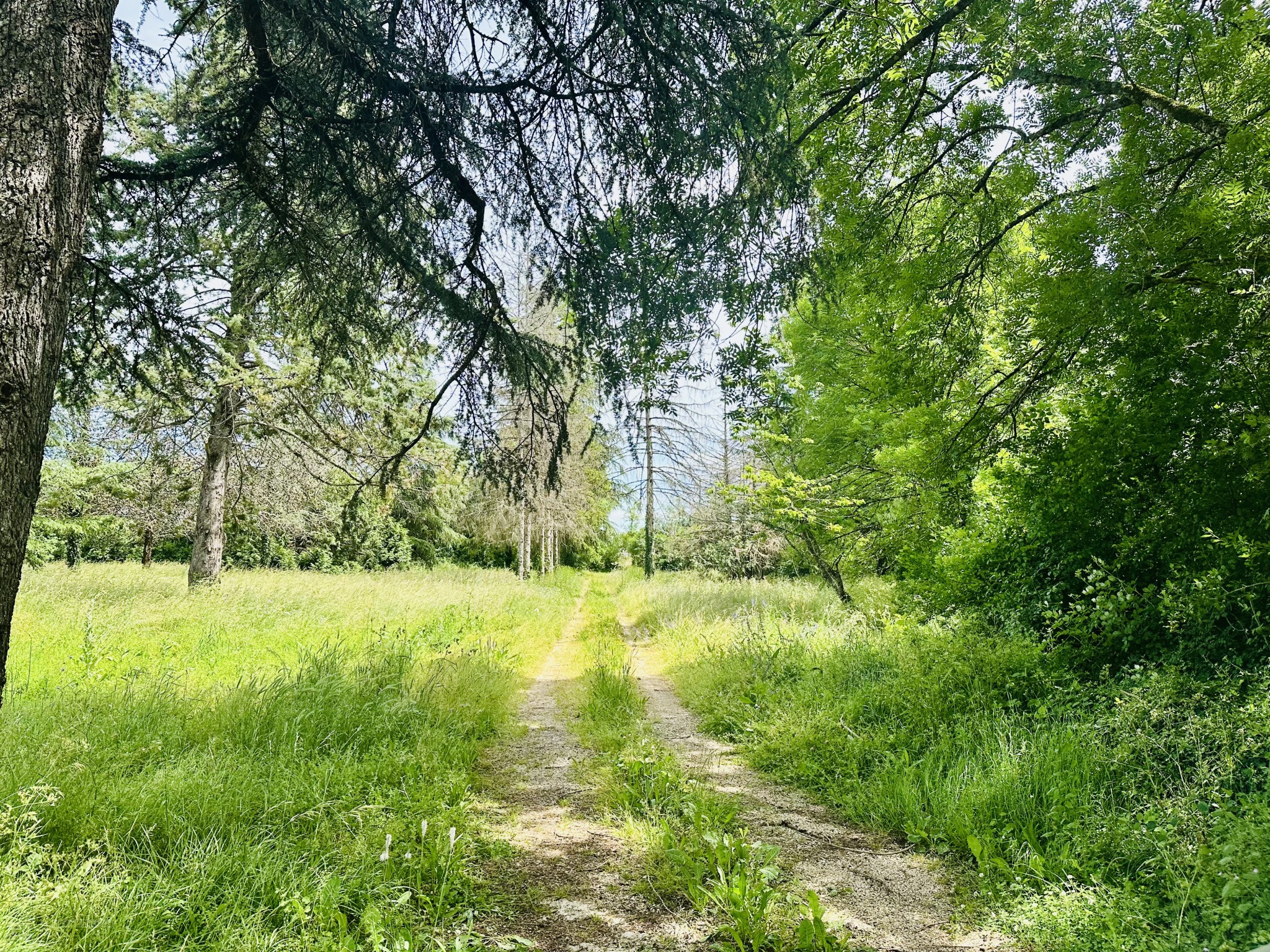 Propriété en pierre à Vaylats — photo 2