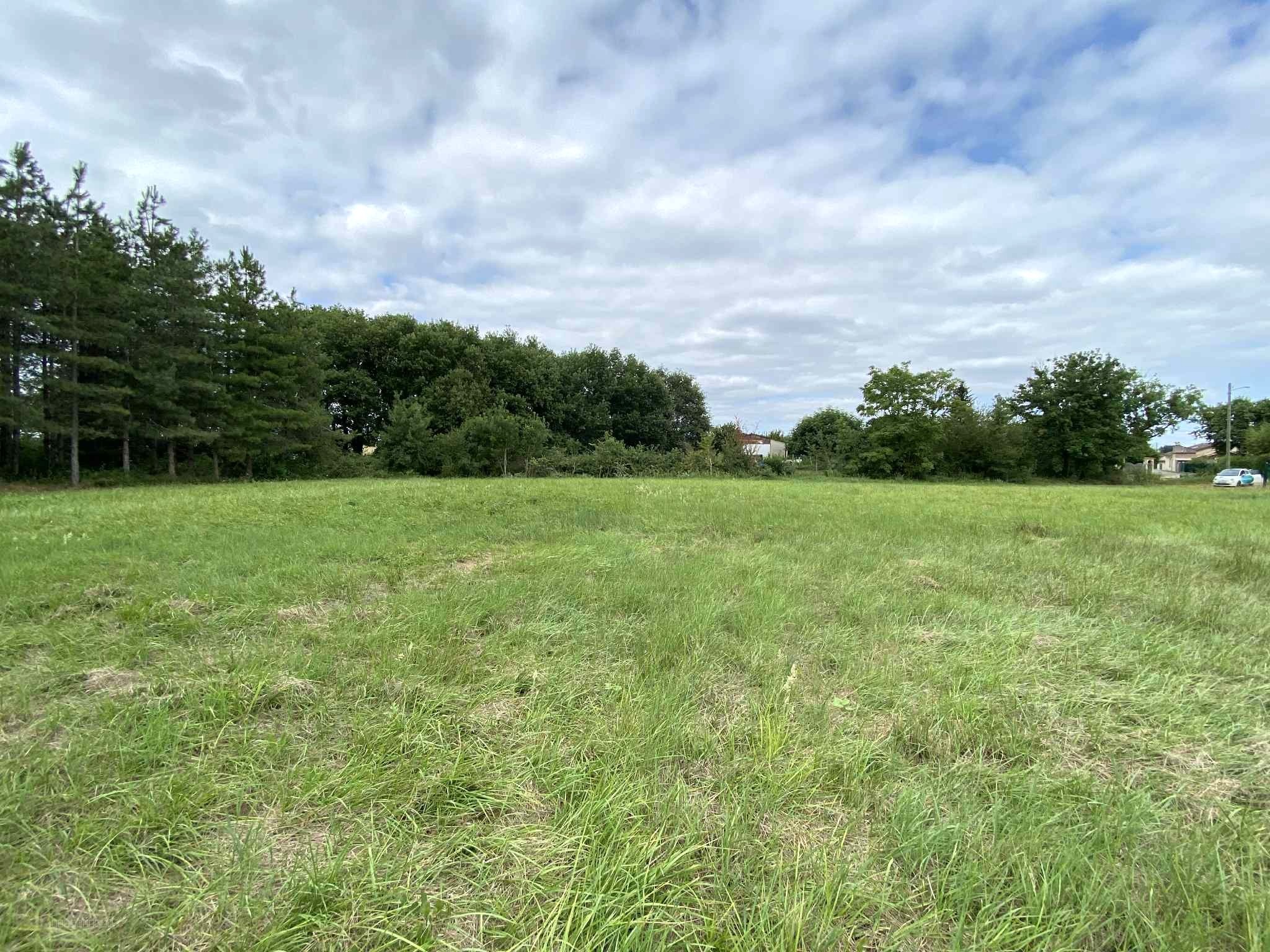 Bien immobilier à vendre à Grisolles, 1 966 m² – photo 2 sur 3