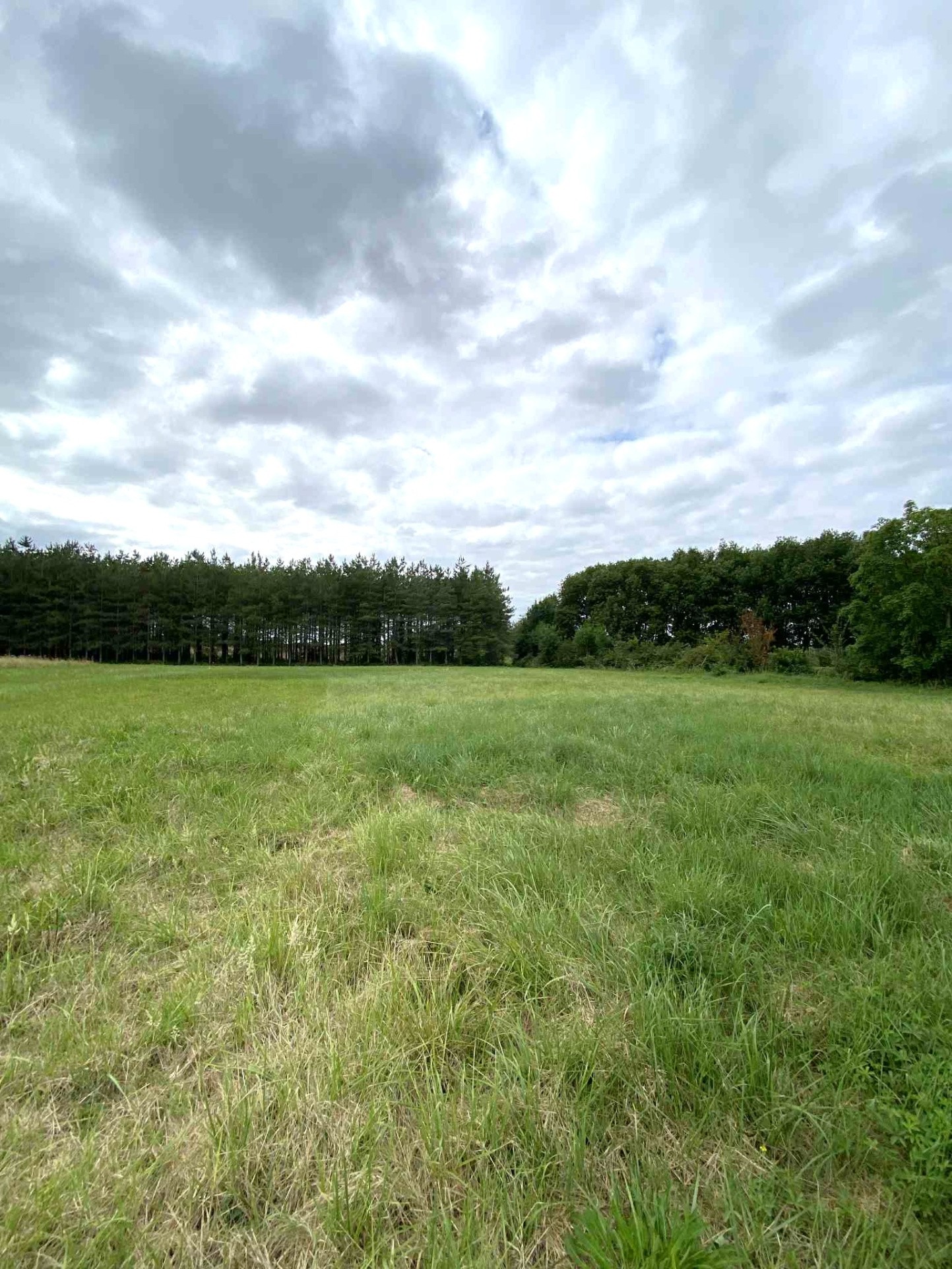 Bien immobilier à vendre à Grisolles, 1 966 m² – photo 3 sur 3