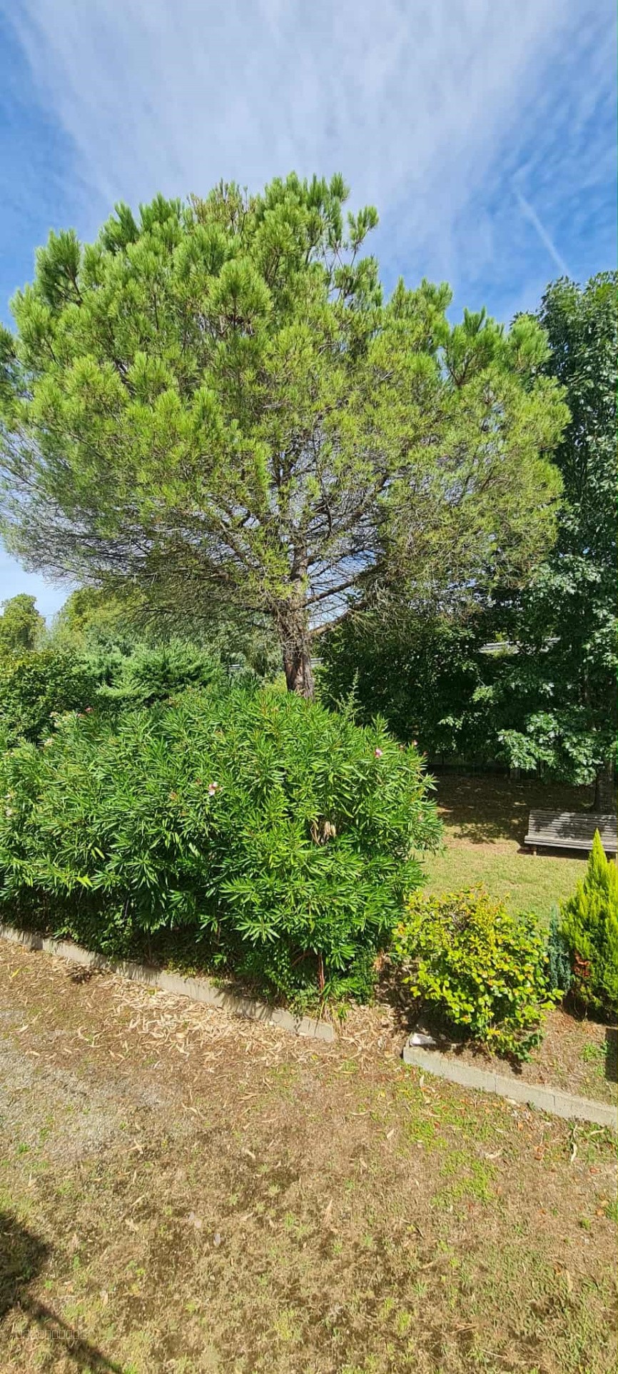 Maison à vendre à Grisolles, 1 154 m², 7 pièces – photo 2 sur 12