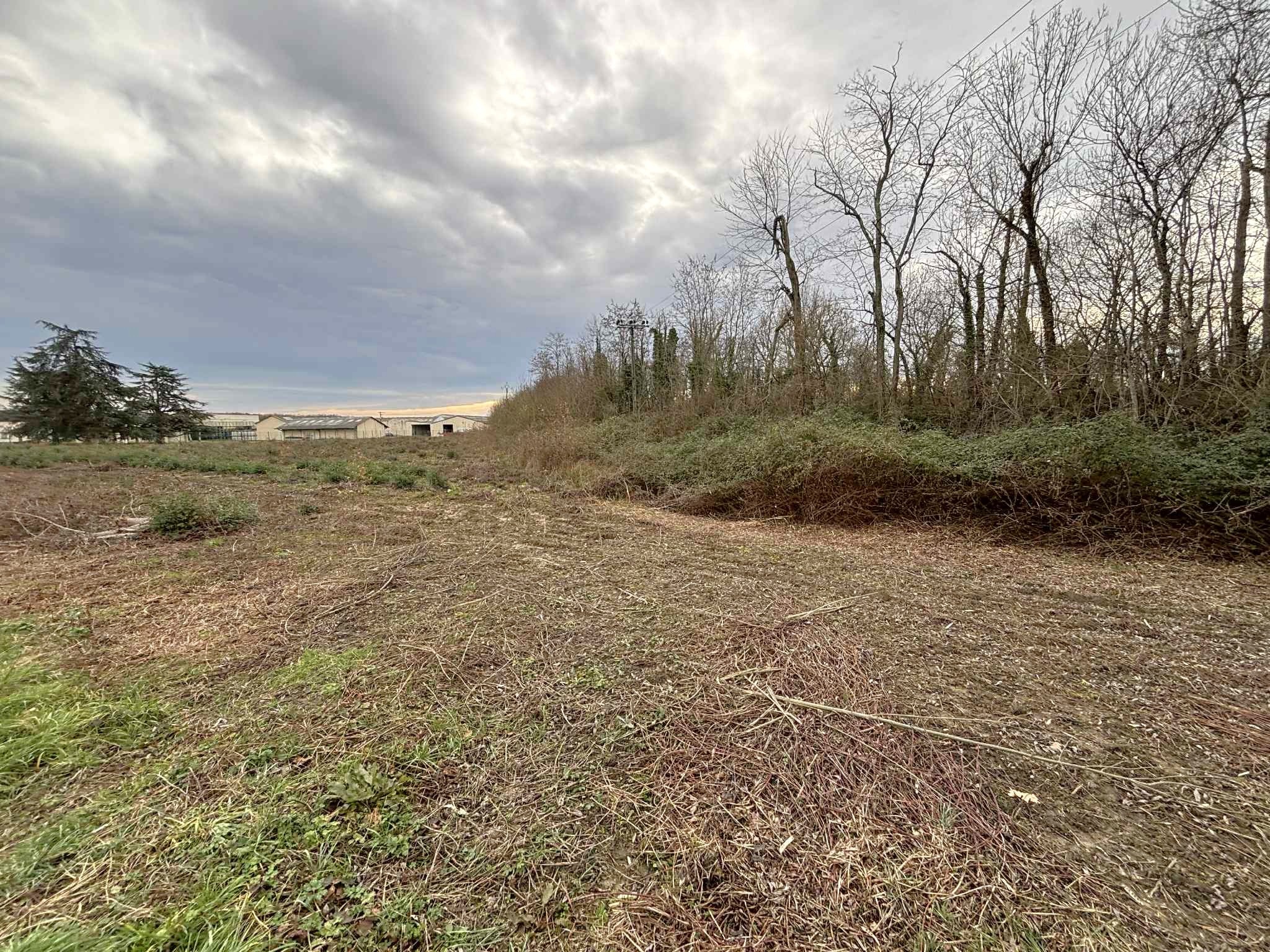Terrain à vendre à Montbartier, 8 727 m² – photo 1 sur 2
