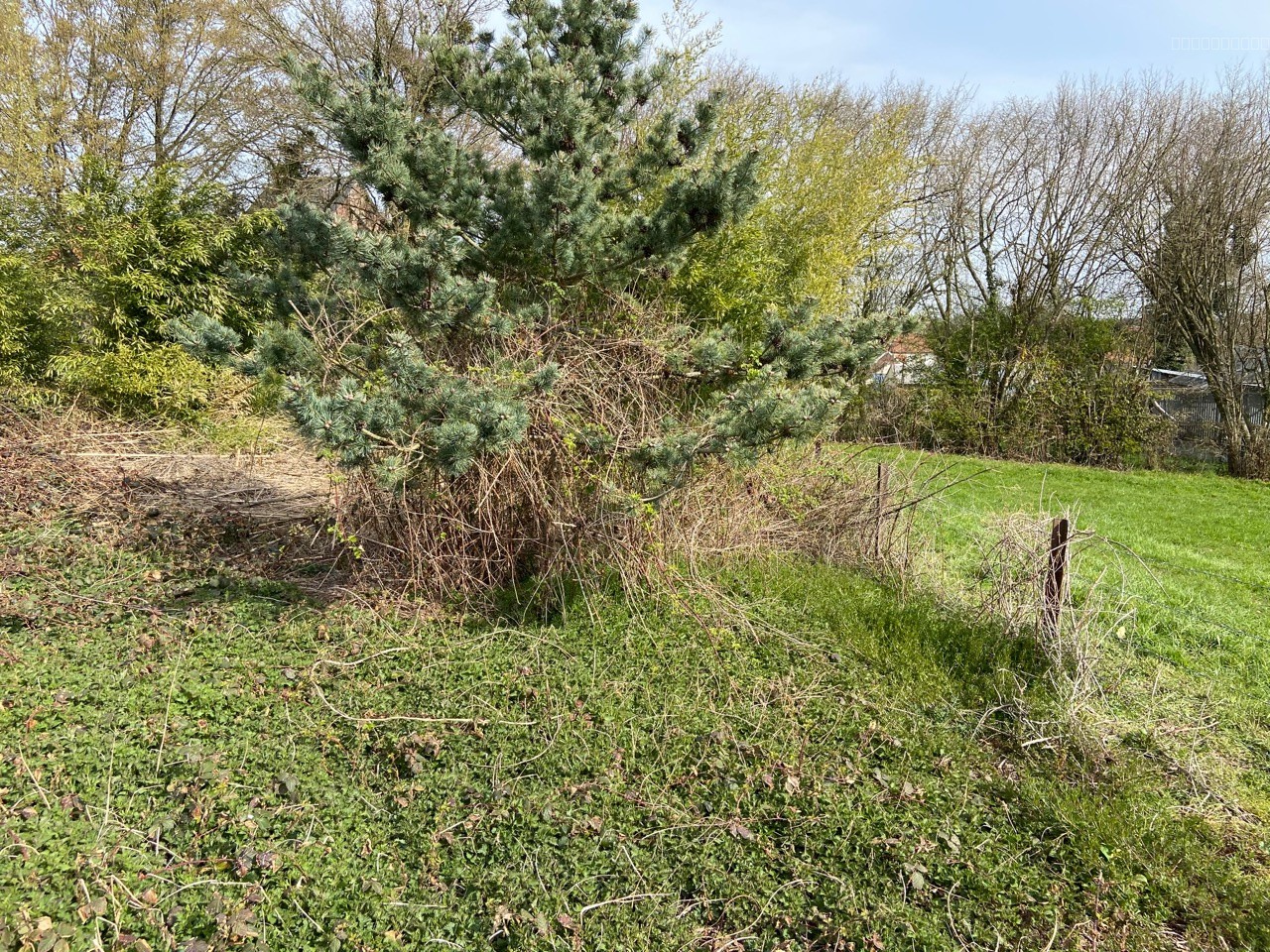 Terrain à vendre à Recquignies, 718 m² – photo 3 sur 7