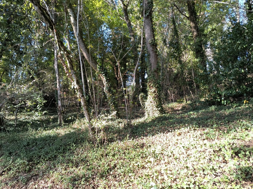 Terrain à vendre à Brive la gaillarde, 3 660 m² – photo 3 sur 6