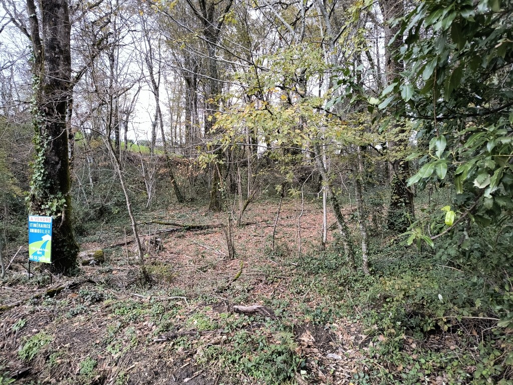 Terrain à vendre à Brive la gaillarde, 3 660 m² – photo 2 sur 6