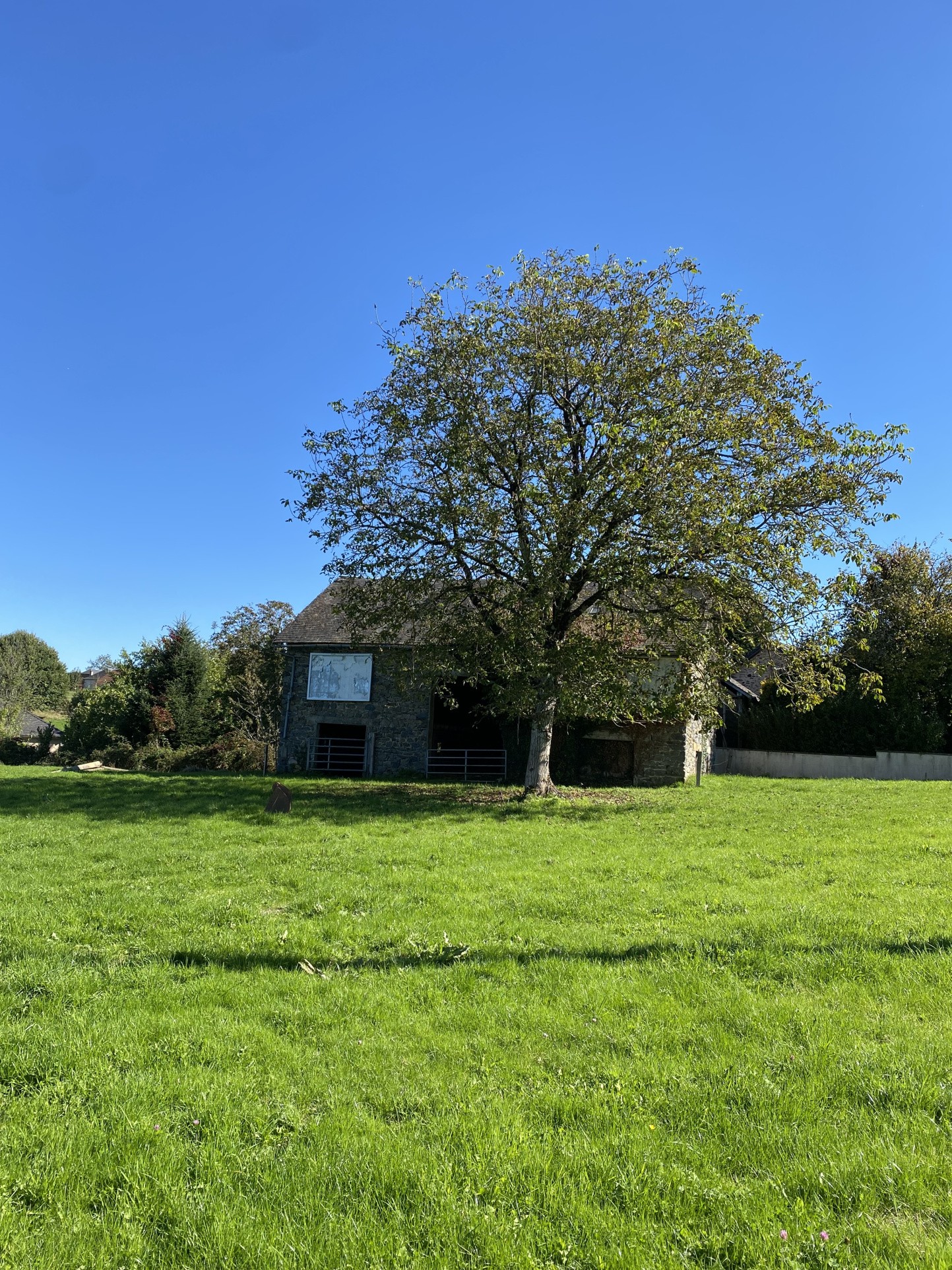 Bien immobilier à vendre à Lagrauliere, 5 097 m² – photo 2 sur 3