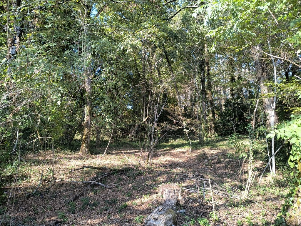 Terrain à vendre à Brive la gaillarde, 3 660 m² – photo 1 sur 6