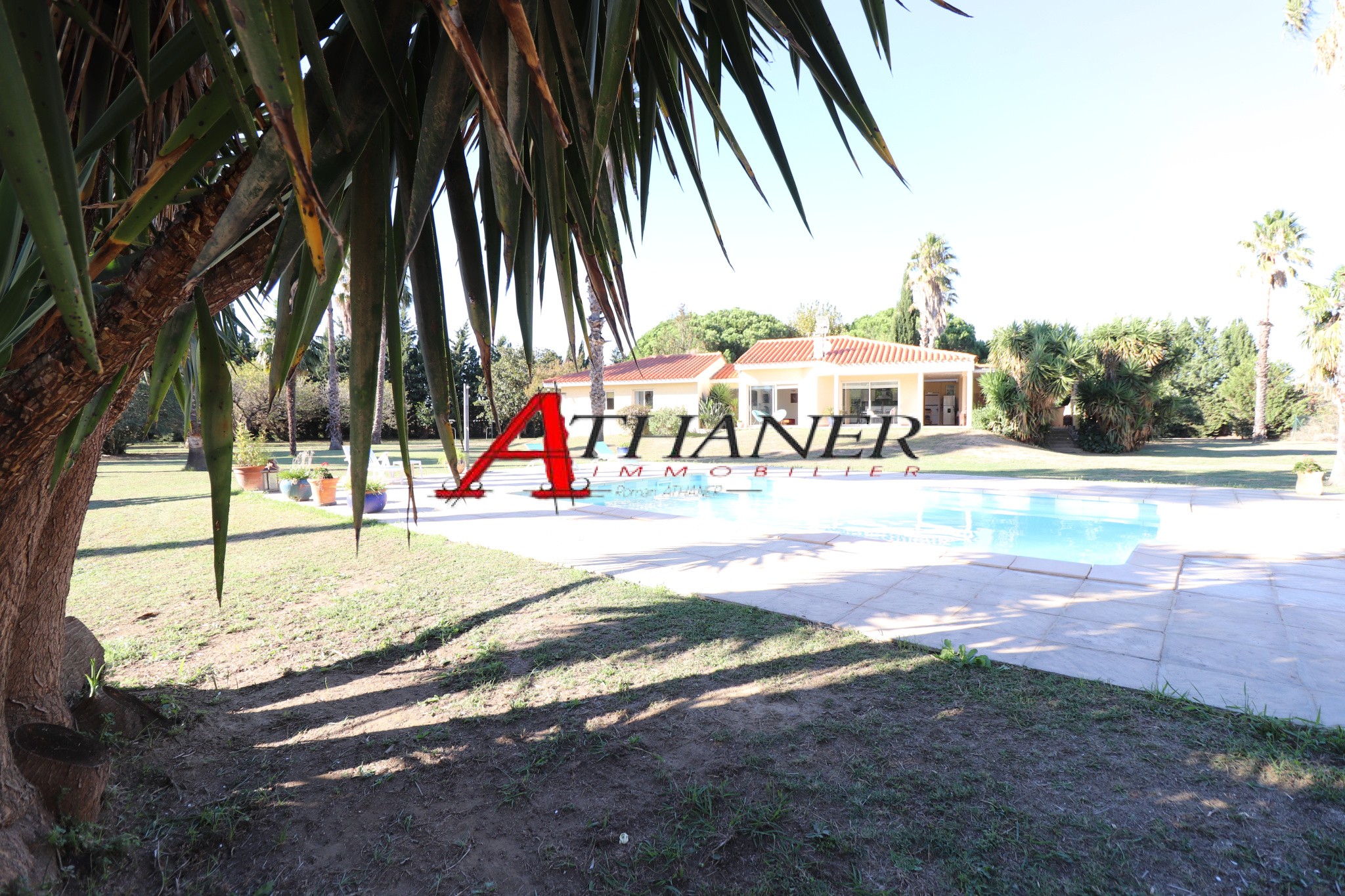 Argeles sur Mer - Propriété avec magnifique Villa de plain-pied — photo 19