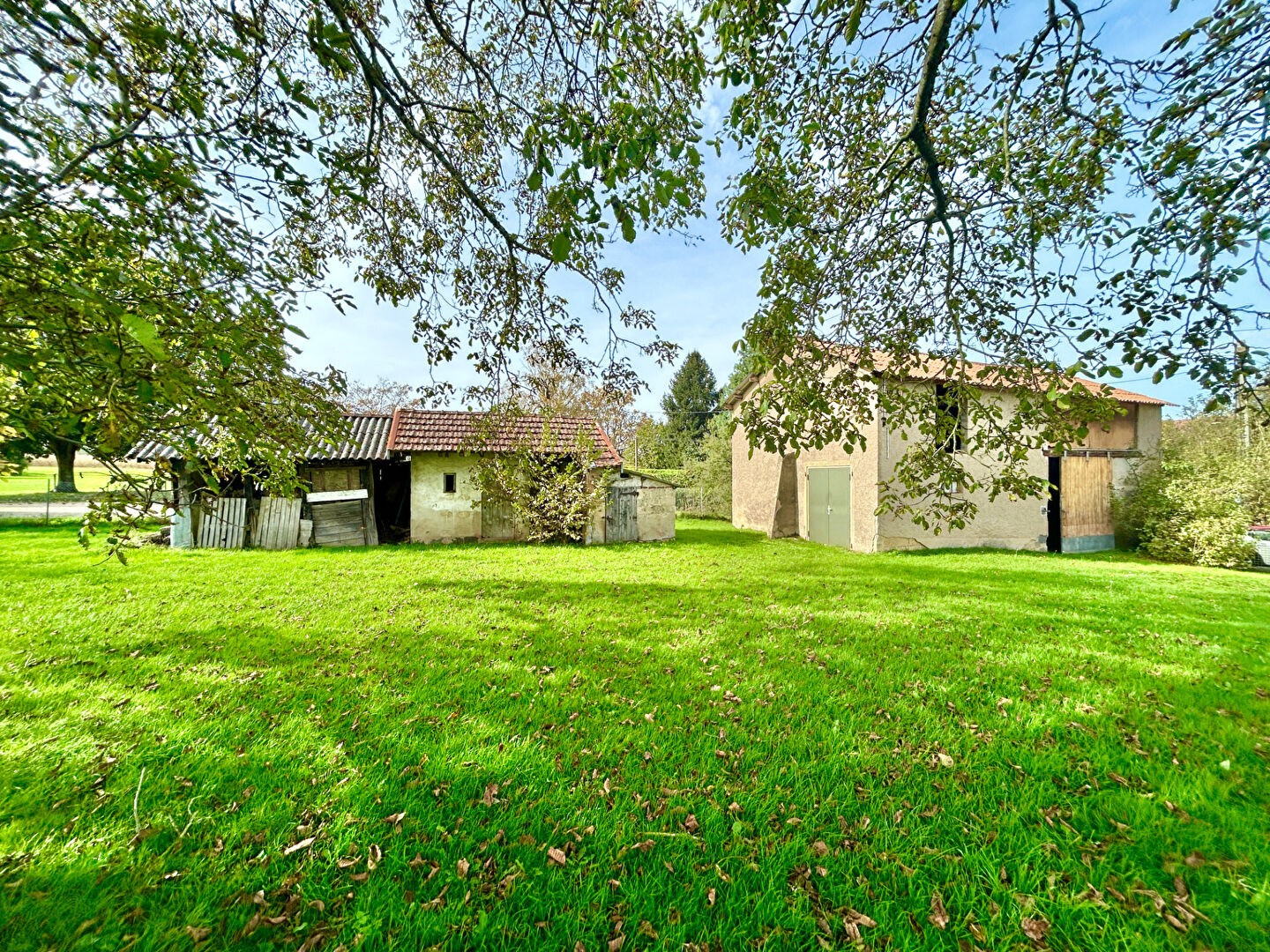 MAISON BRESSANNE AVEC ANNEXES SUR 3050 m2 DE TERRAIN — photo 14