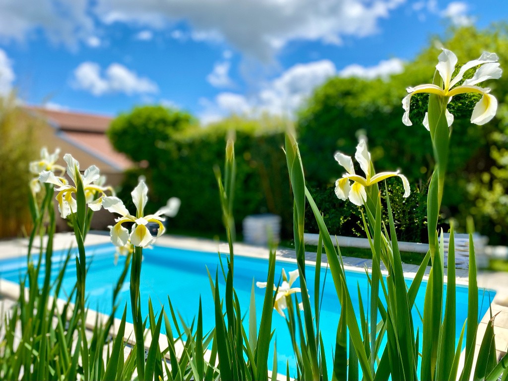 Maison à vendre à St laurent d agny, 500 m², 6 pièces – photo 2 sur 20