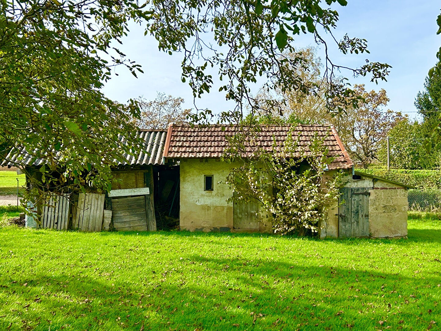 MAISON BRESSANNE AVEC ANNEXES SUR 3050 m2 DE TERRAIN — photo 13